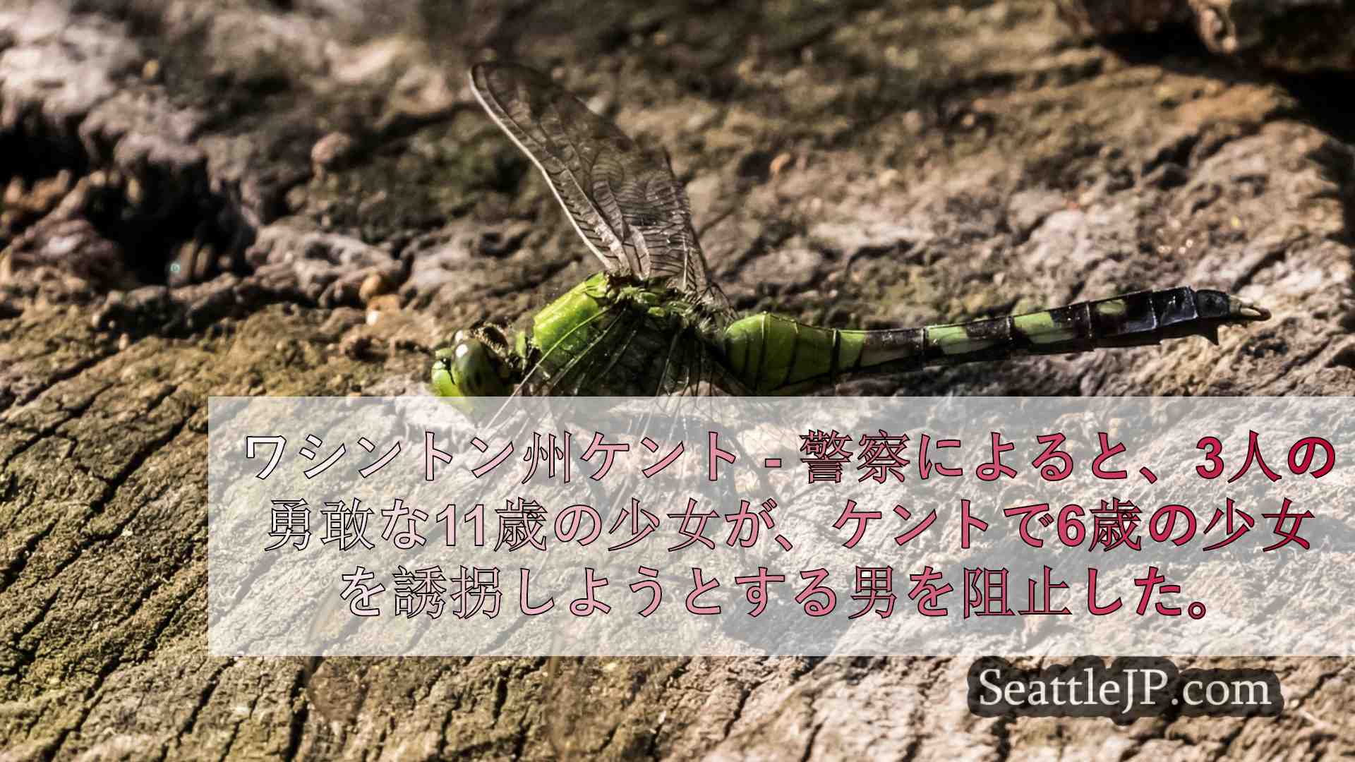 シアトルニュース SeattleJP