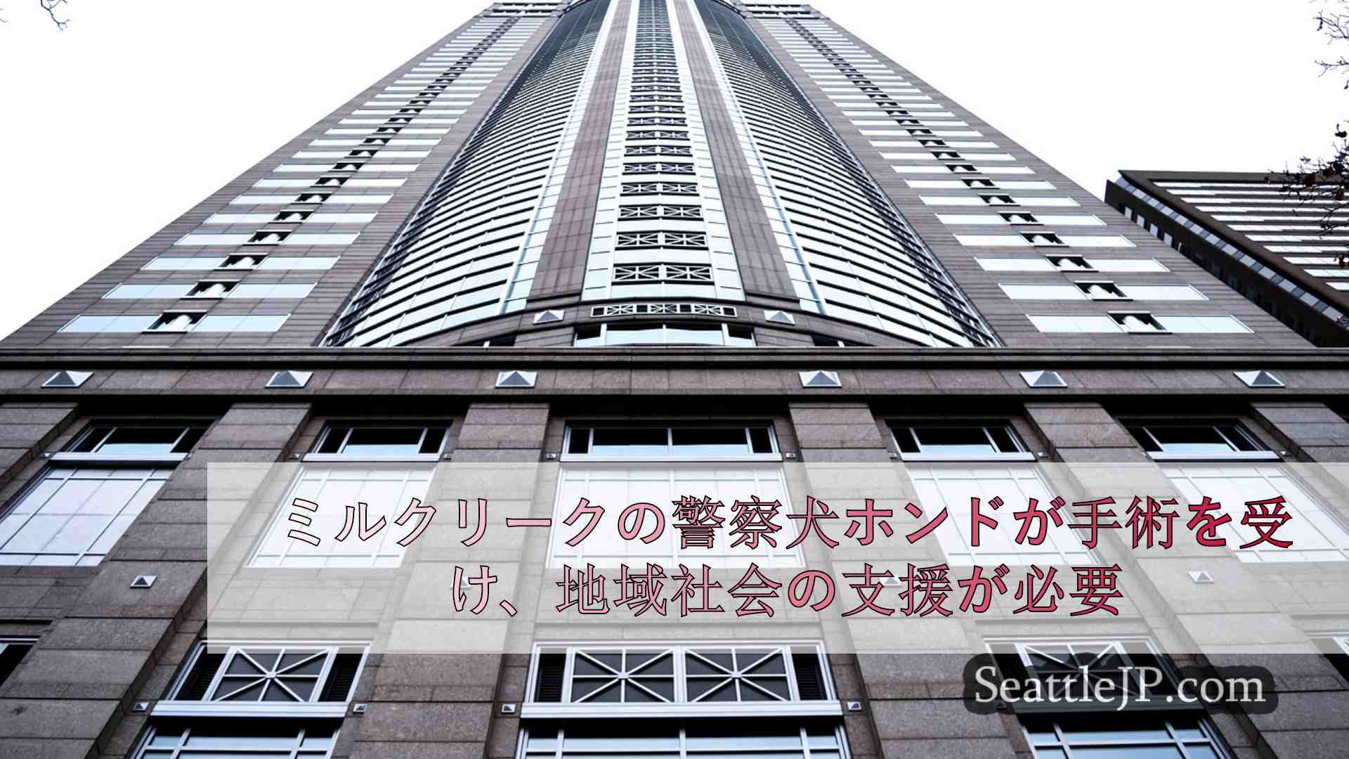 シアトルニュース SeattleJP