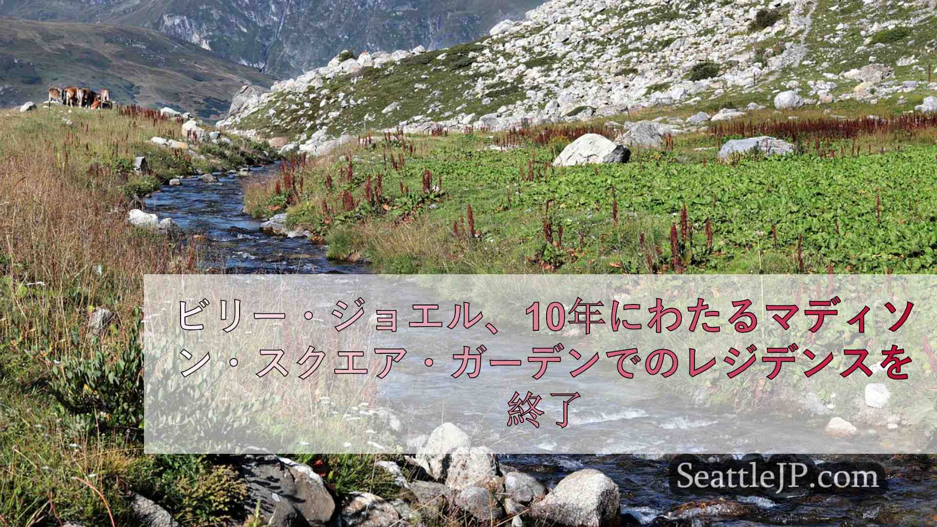 シアトルニュース SeattleJP