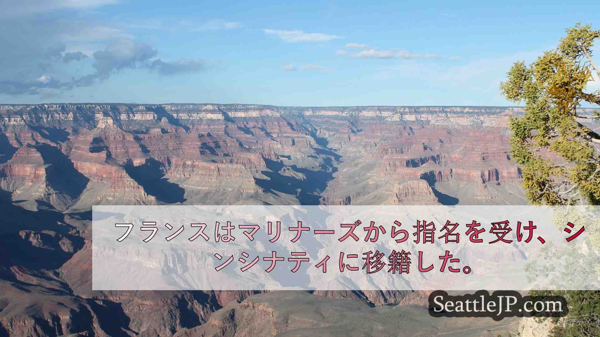 シアトルニュース SeattleJP
