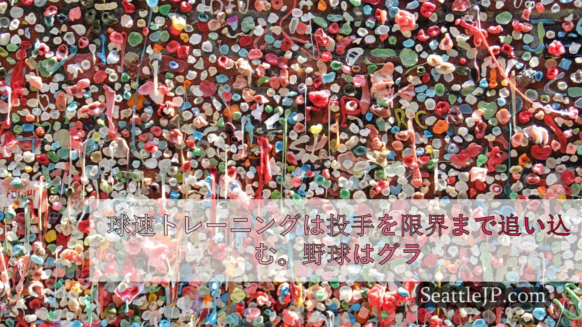 シアトルニュース SeattleJP