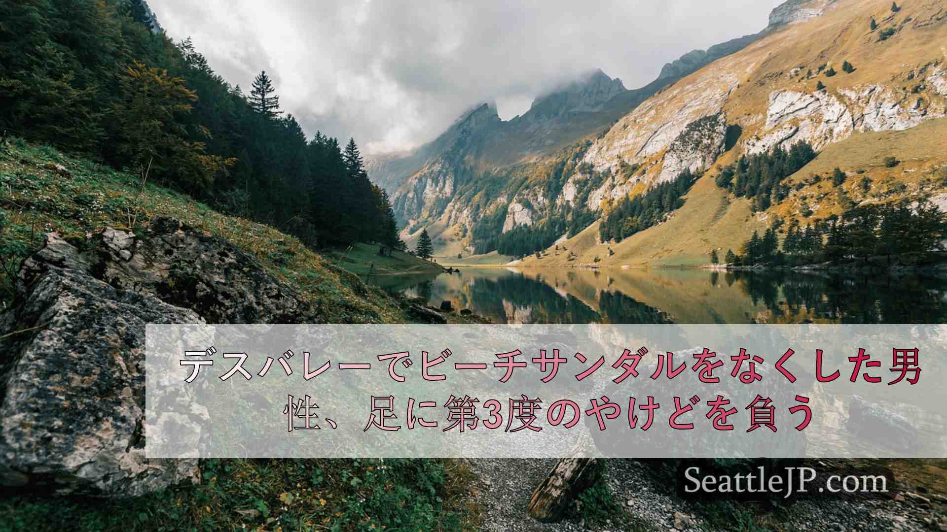 シアトルニュース SeattleJP