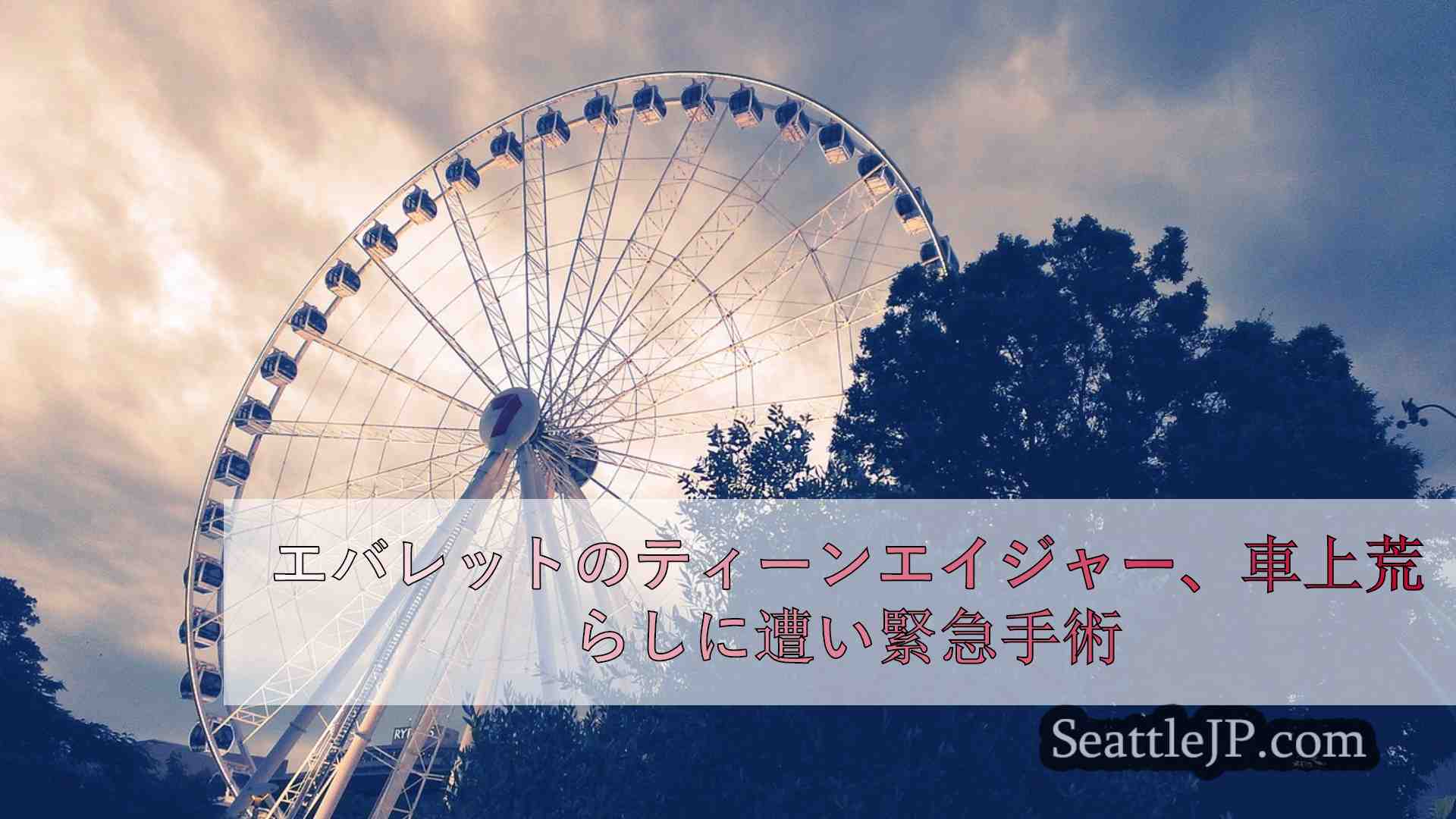 エバレットのティーンエイジャー、車上荒らしに遭い緊急手術を受ける