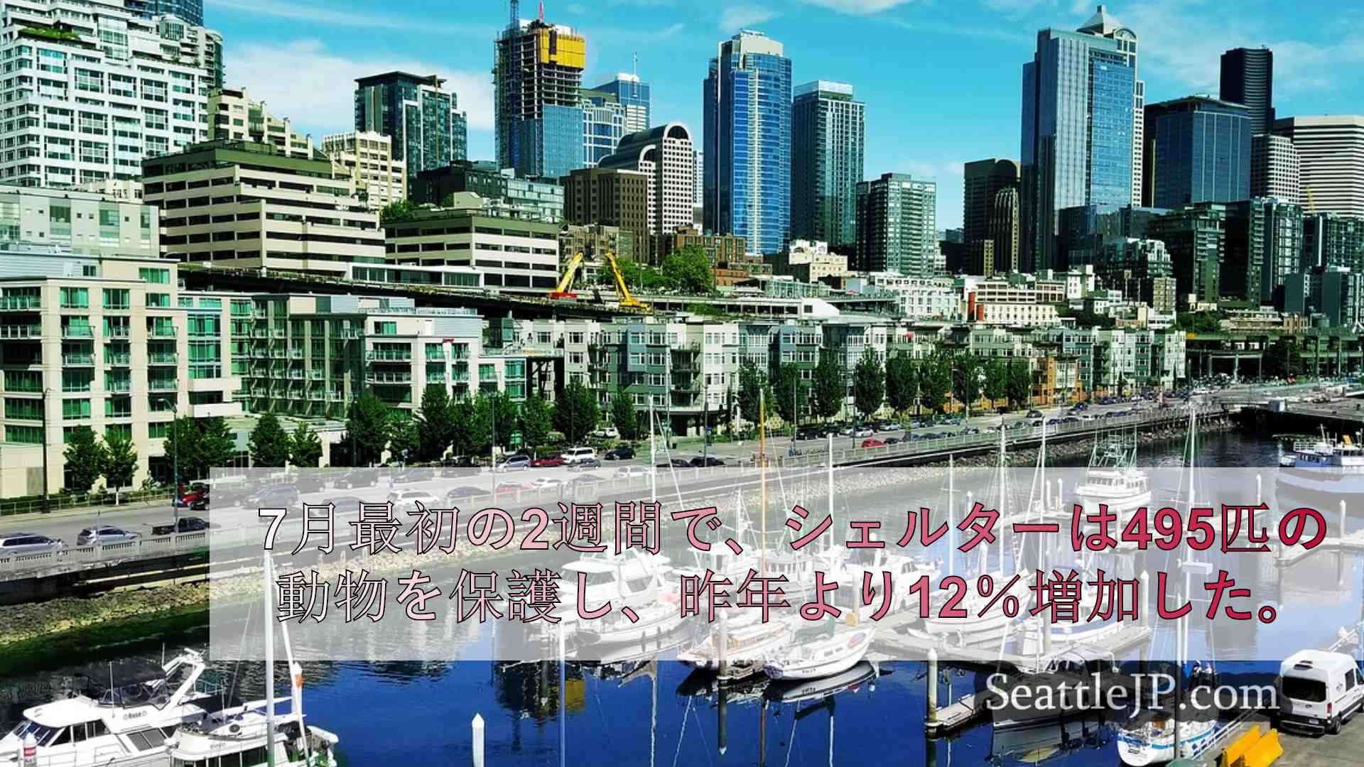 シアトルニュース SeattleJP