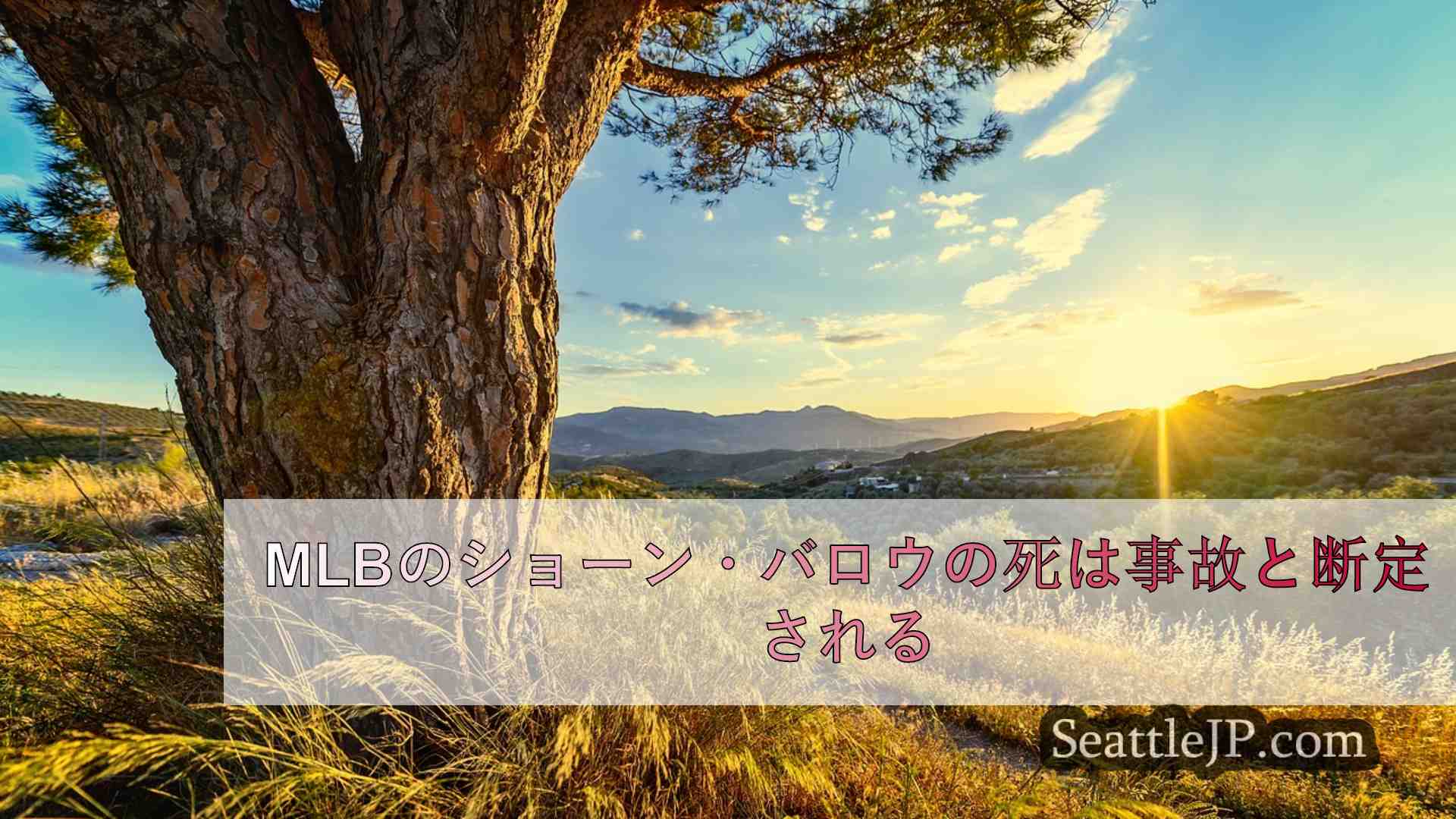 シアトルニュース SeattleJP
