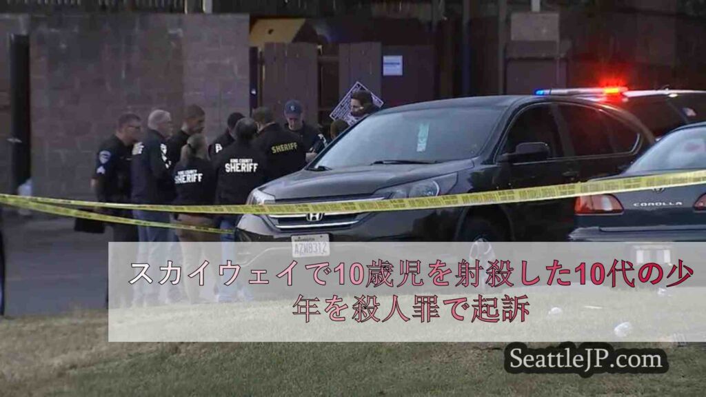 スカイウェイで10歳児を射殺した10代の少年を殺人罪で起訴