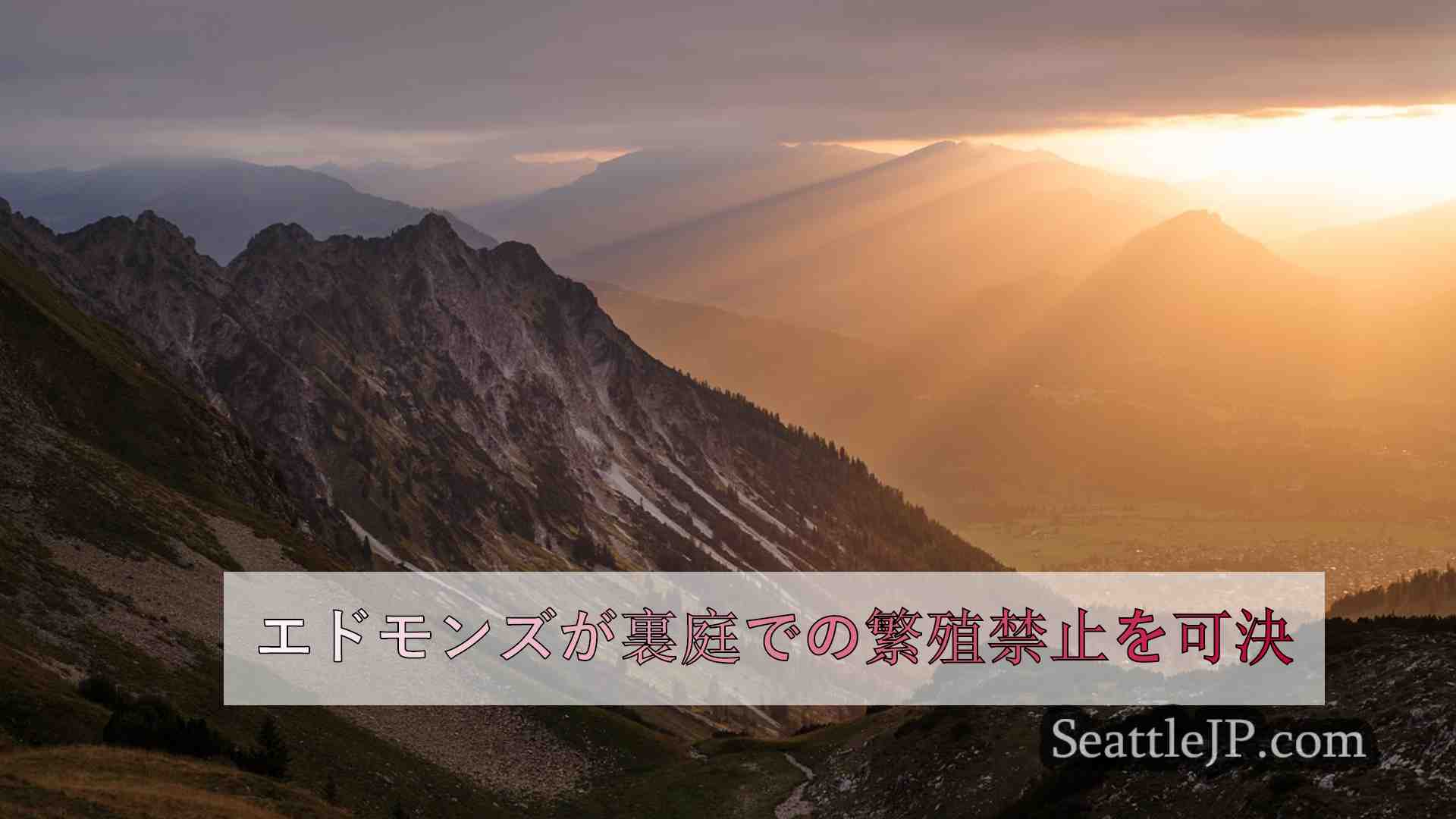 シアトルニュース SeattleJP