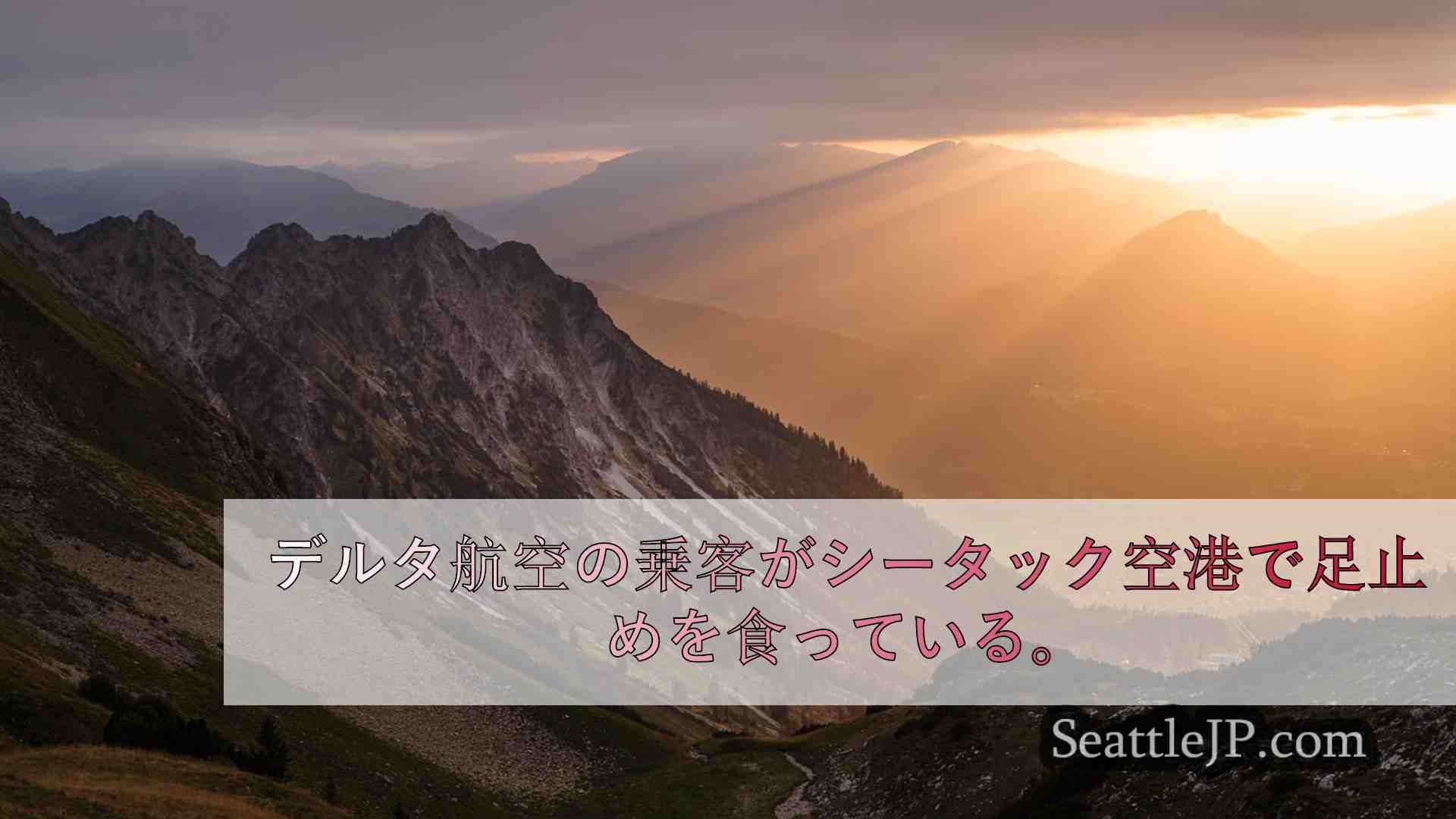 シアトルニュース SeattleJP