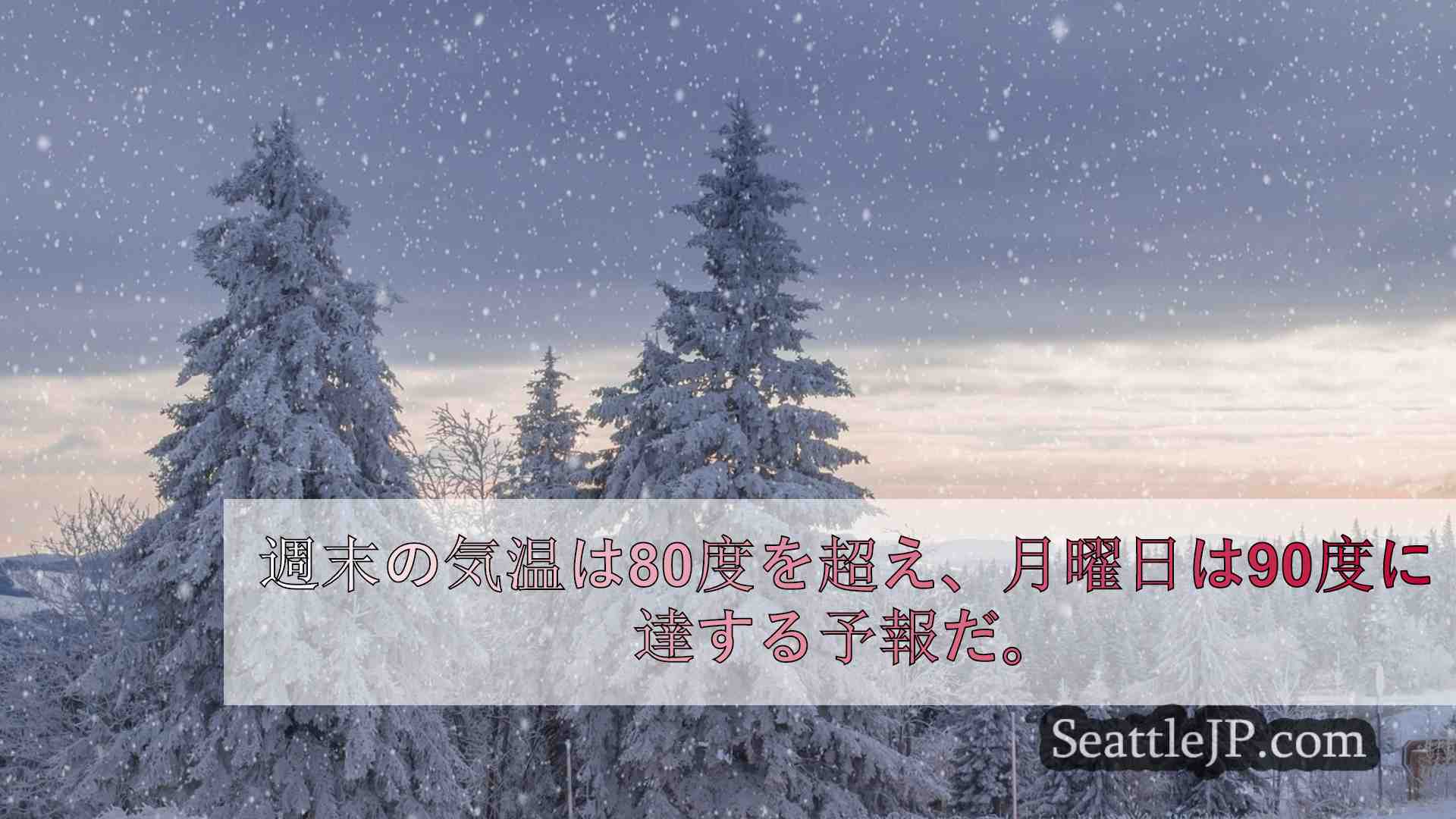 シアトルニュース SeattleJP