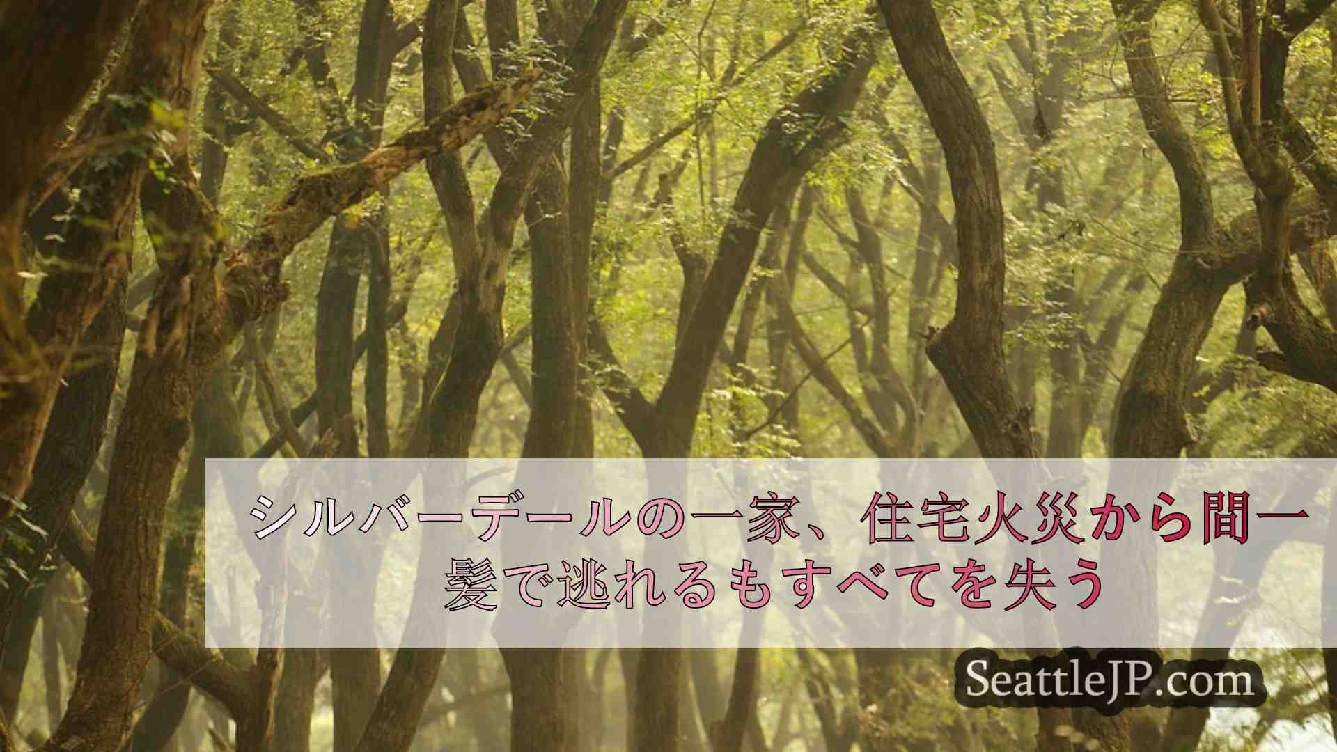 シアトルニュース SeattleJP