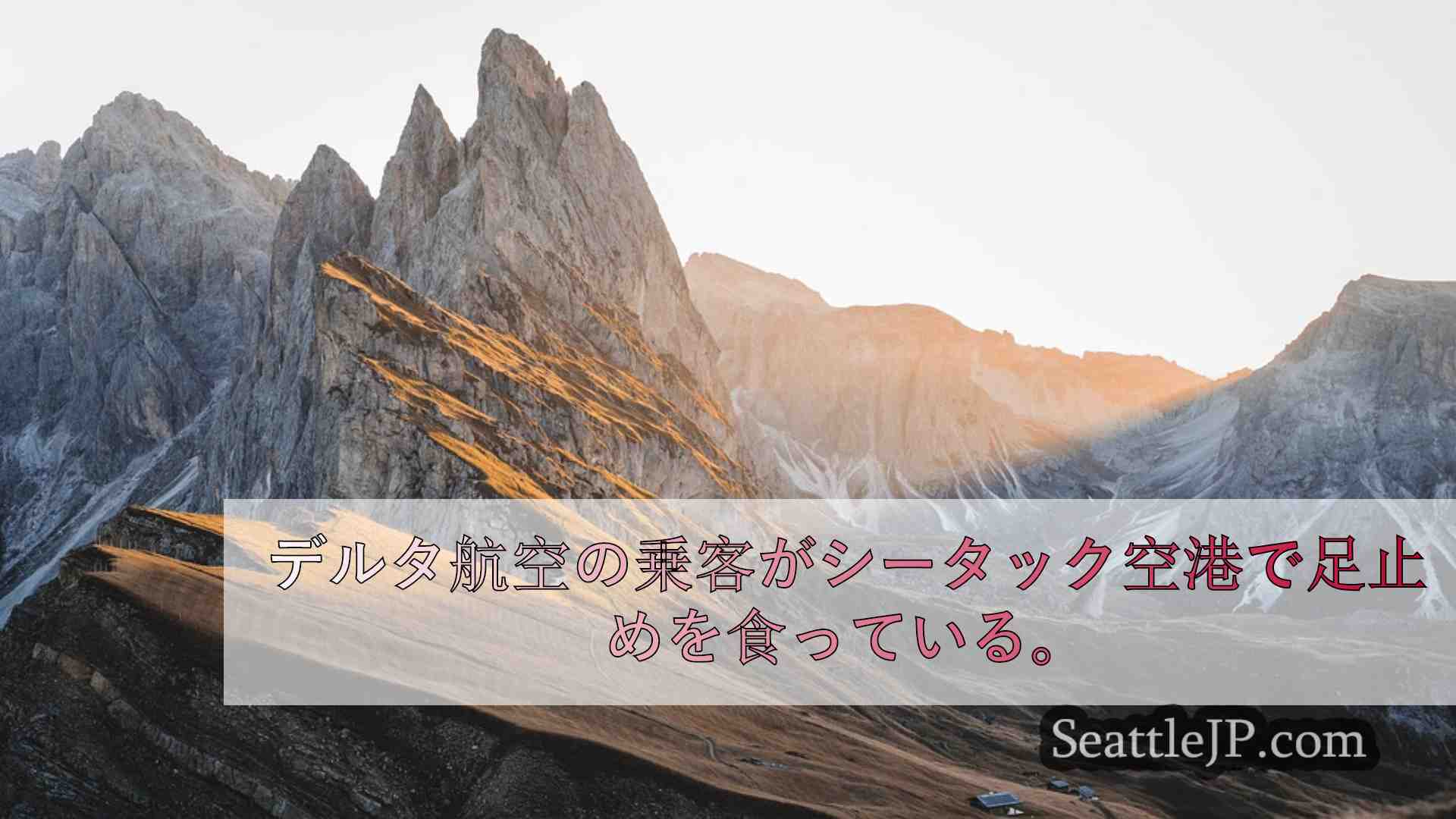 シアトルニュース SeattleJP