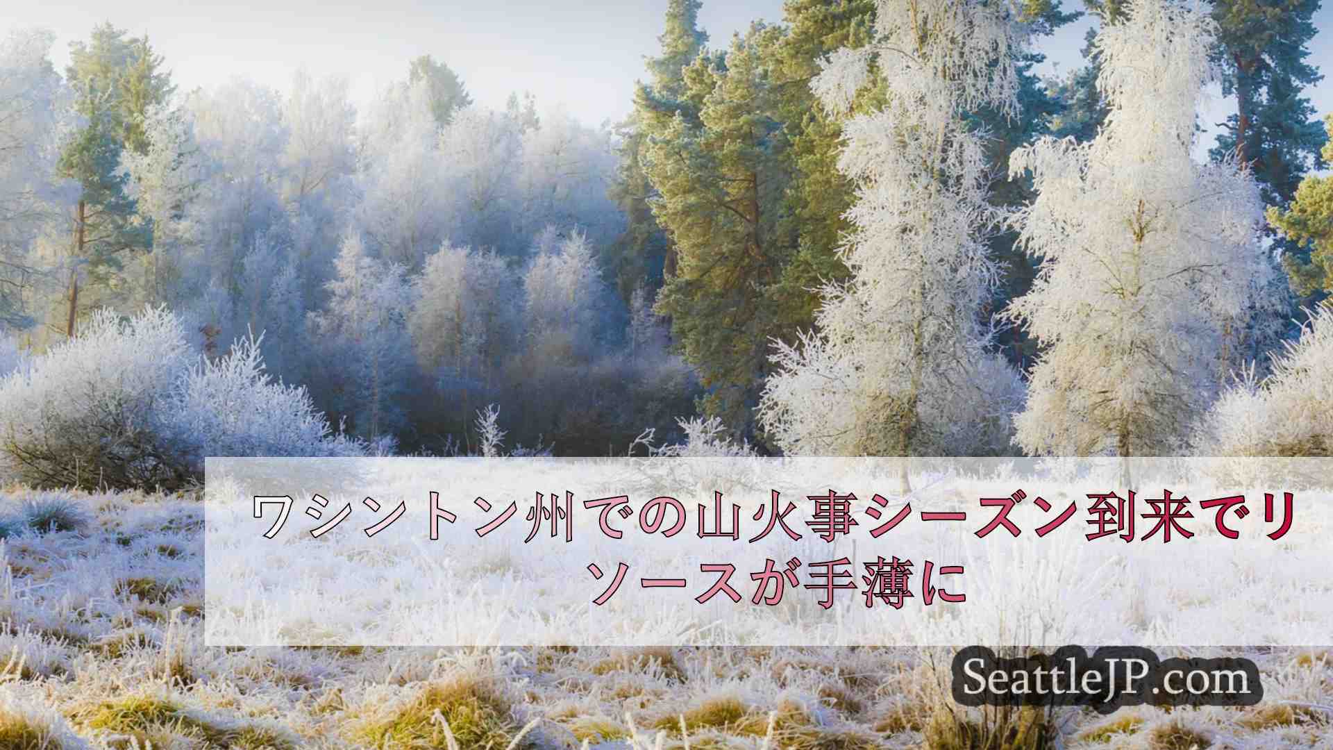 シアトルニュース SeattleJP