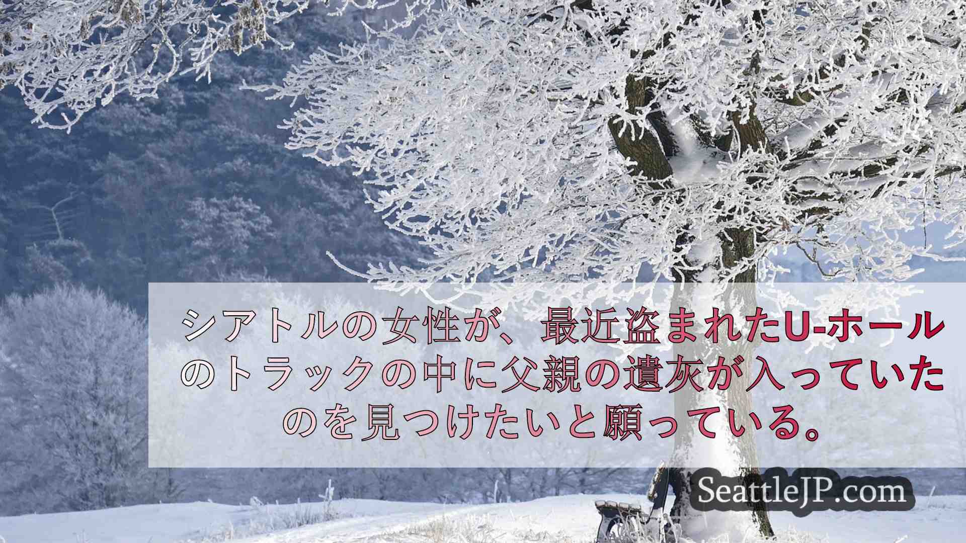 シアトルニュース SeattleJP