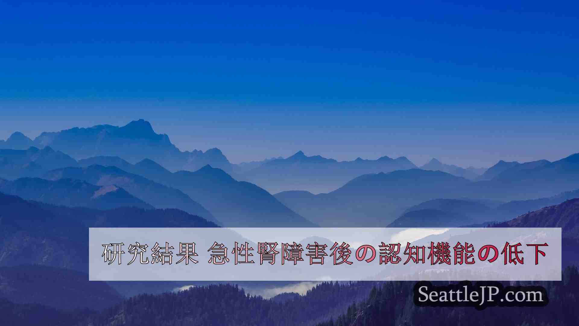 シアトルニュース SeattleJP