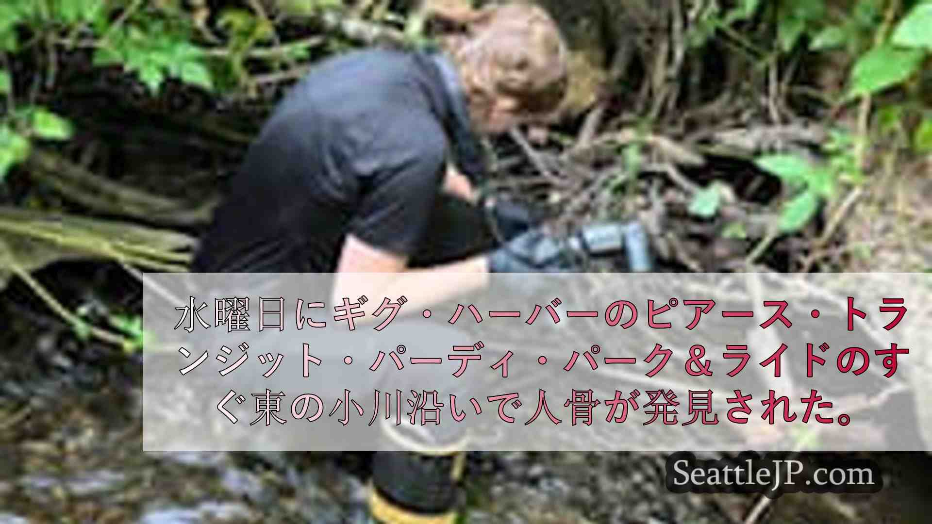 シアトルニュース SeattleJP