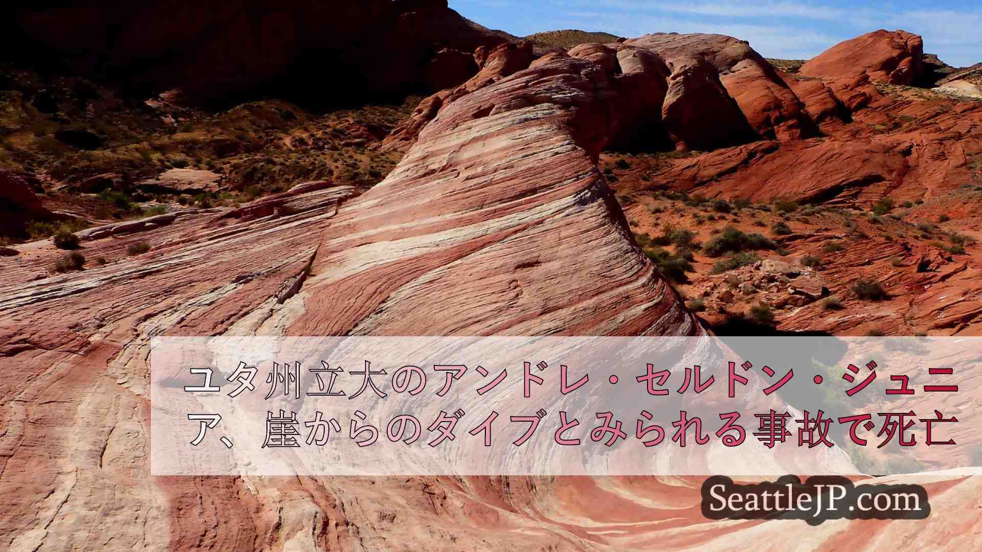 シアトルニュース SeattleJP