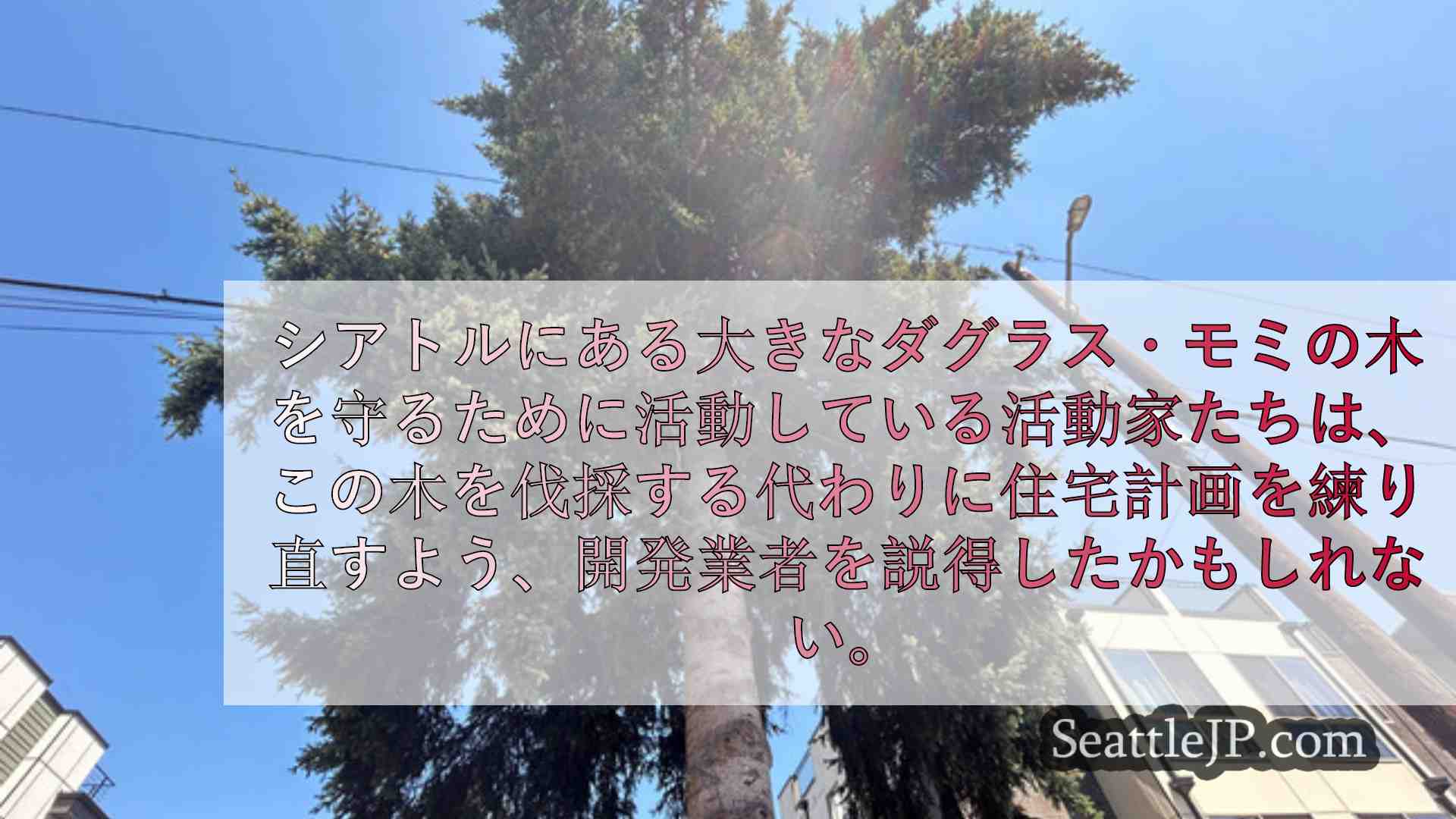 シアトルニュース SeattleJP