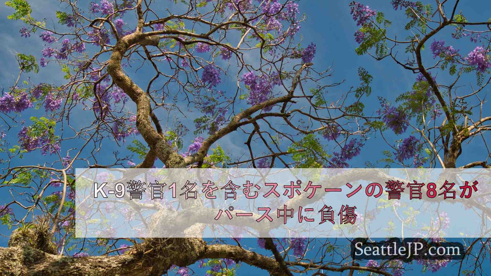 シアトルニュース SeattleJP