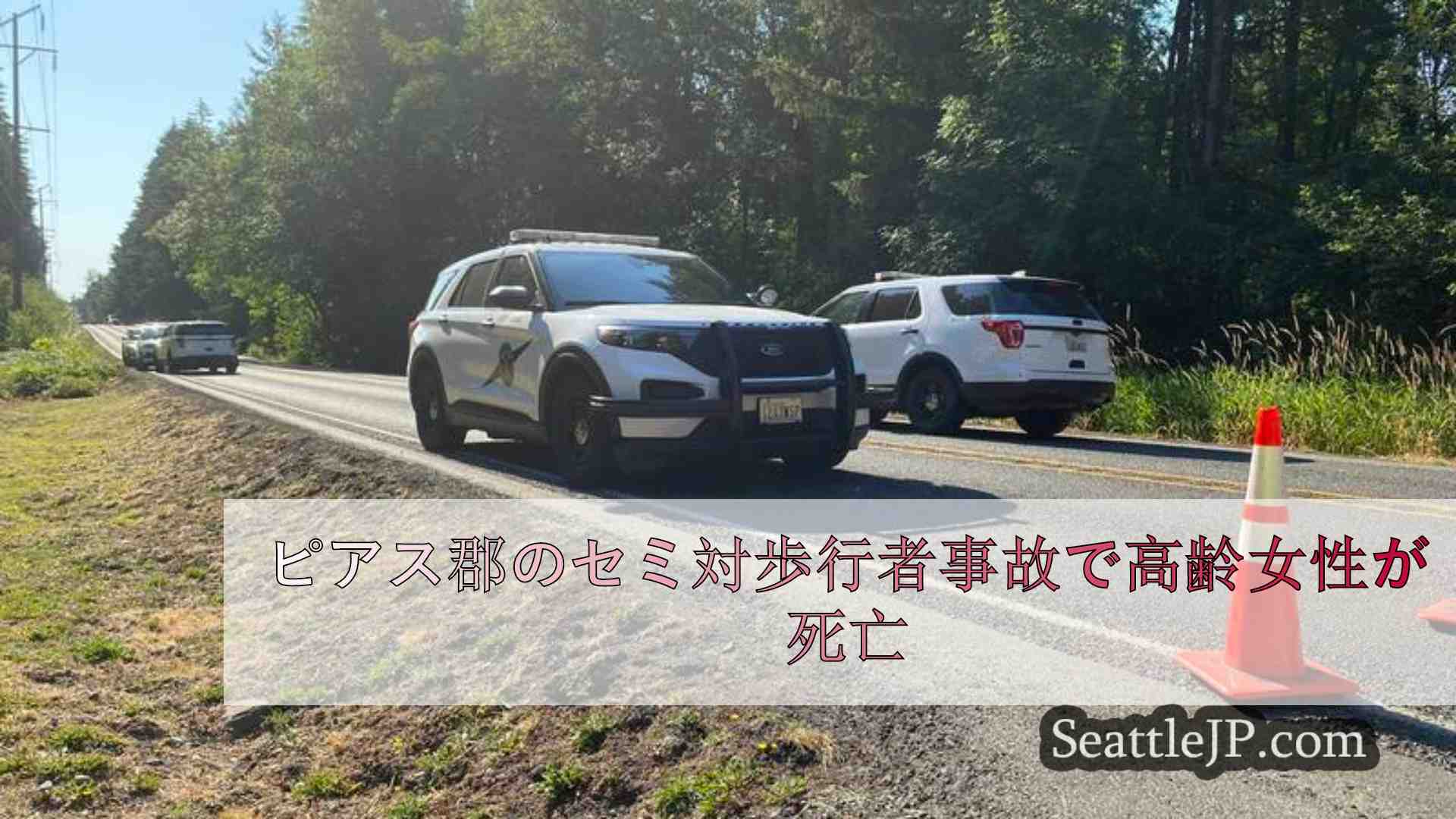ピアス郡のセミ対歩行者事故で高齢女性が死亡