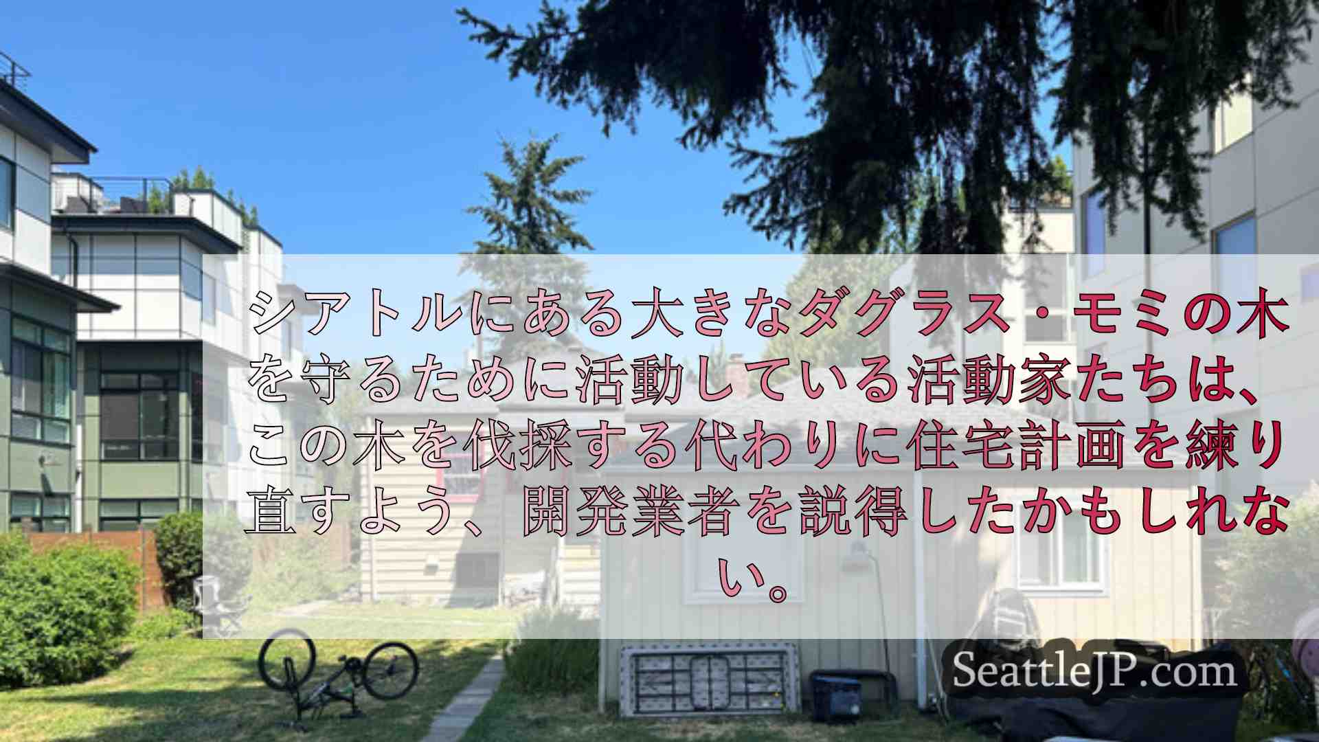 シアトルニュース SeattleJP
