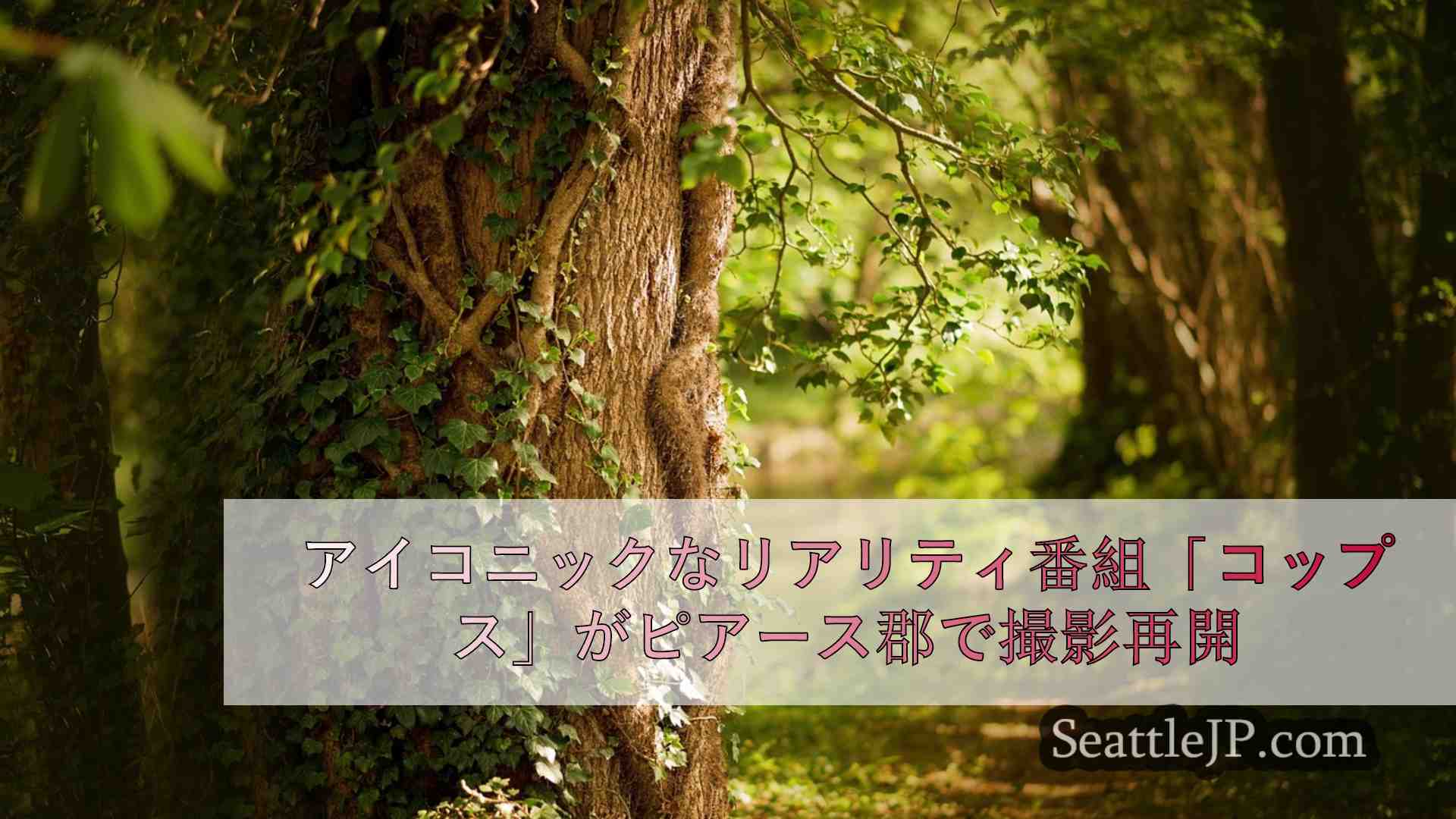 シアトルニュース SeattleJP