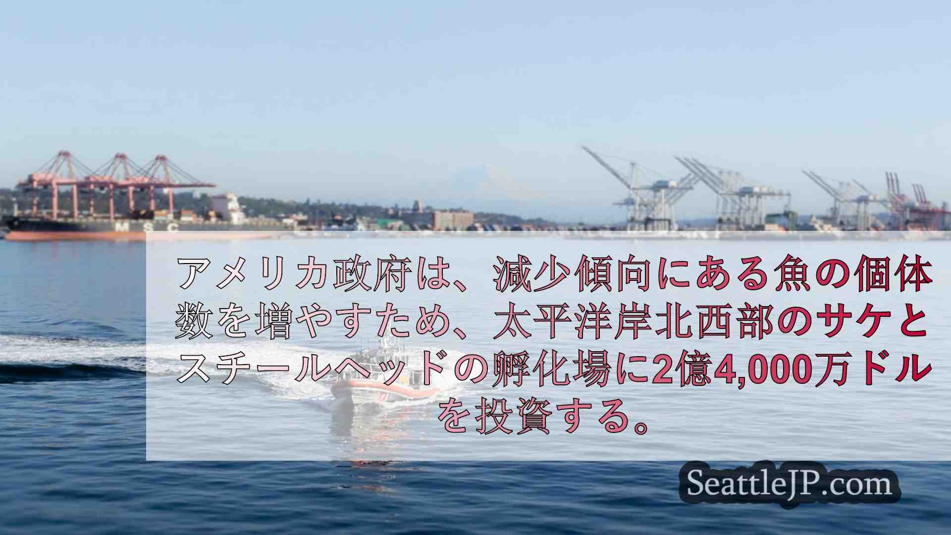 シアトルニュース SeattleJP