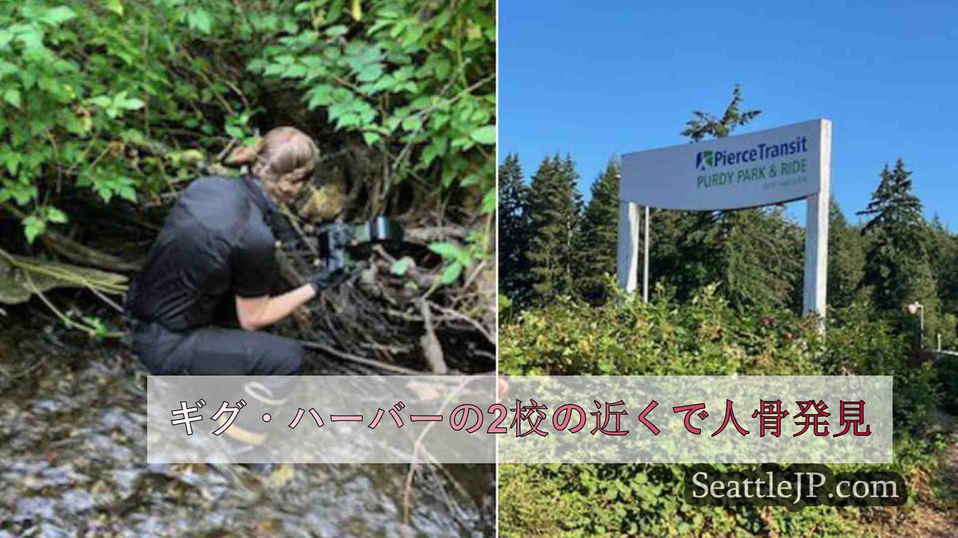 ギグ・ハーバーの2校の近くで人骨発見