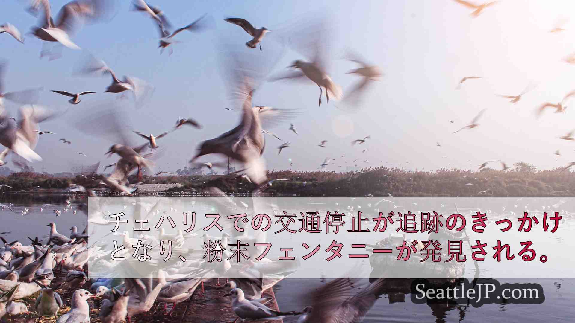 シアトルニュース SeattleJP