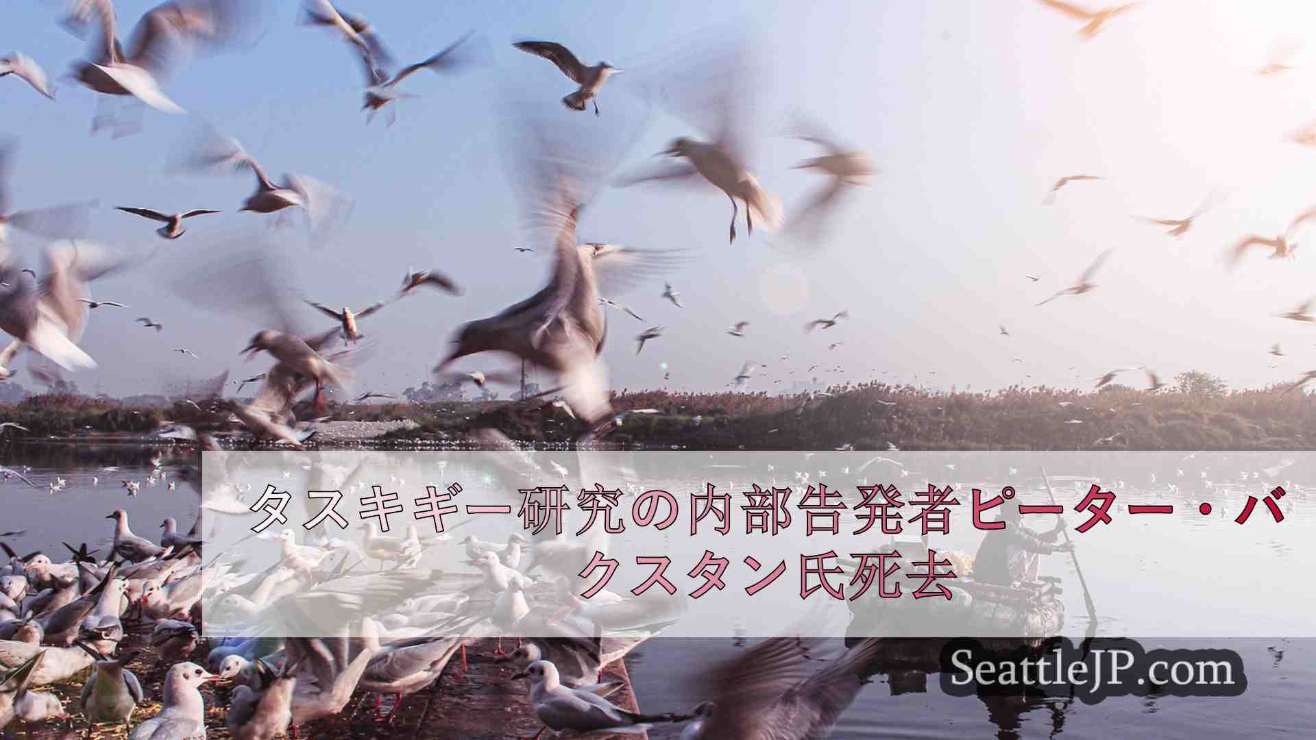 シアトルニュース SeattleJP