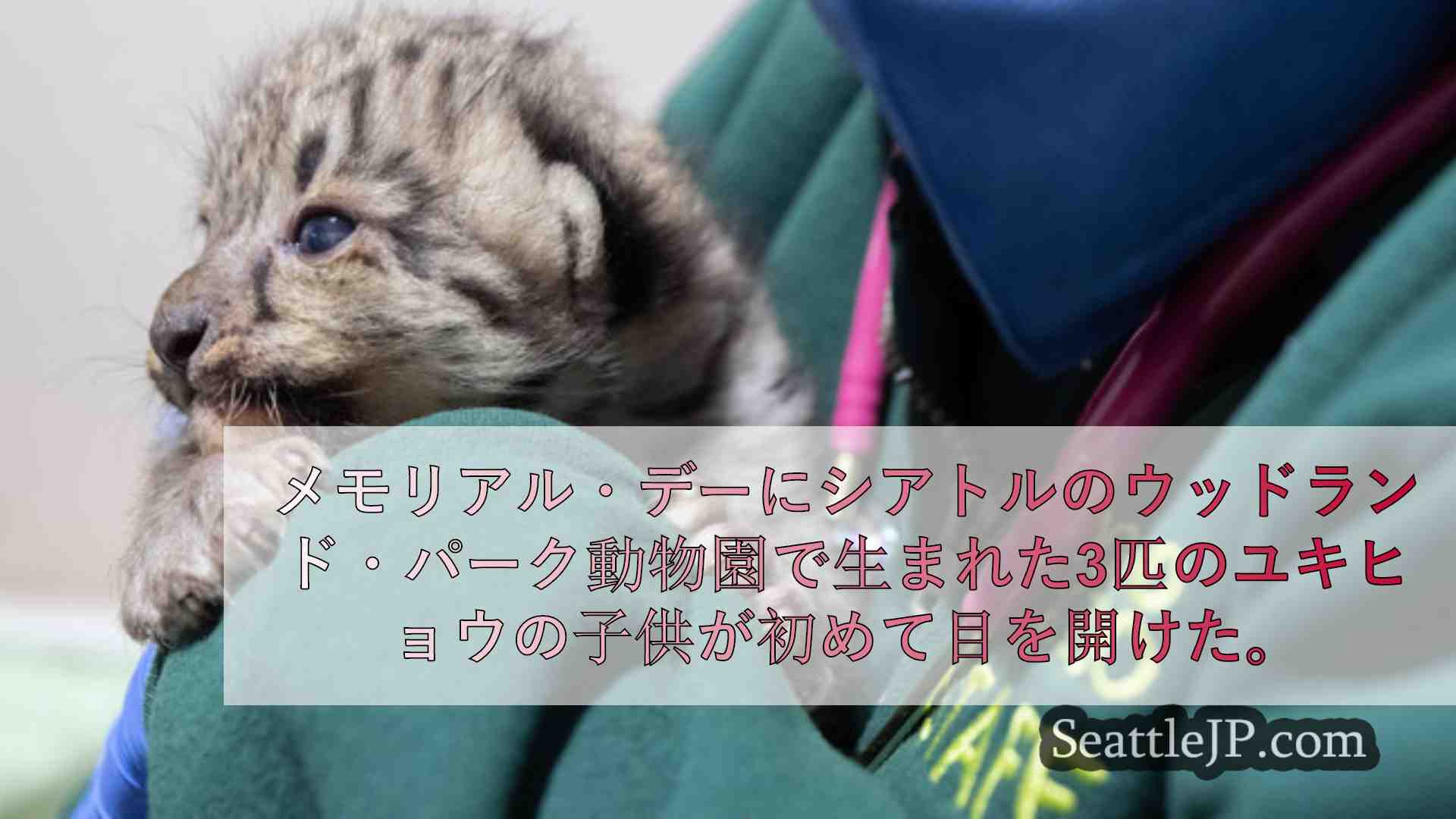 シアトルニュース SeattleJP