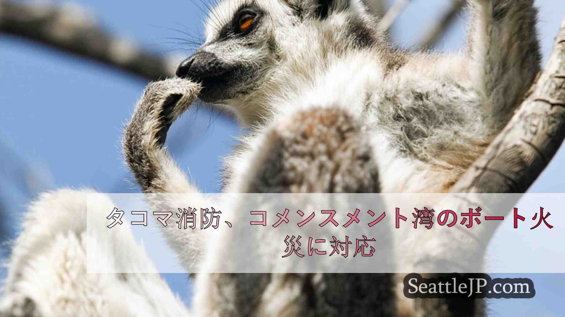 シアトルニュース SeattleJP