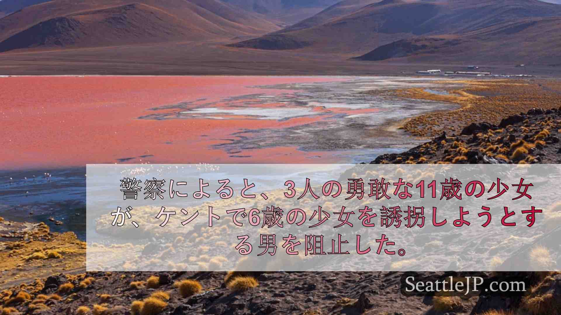 ドキュメント ケント州の誘拐で告発された男が重罪に直面