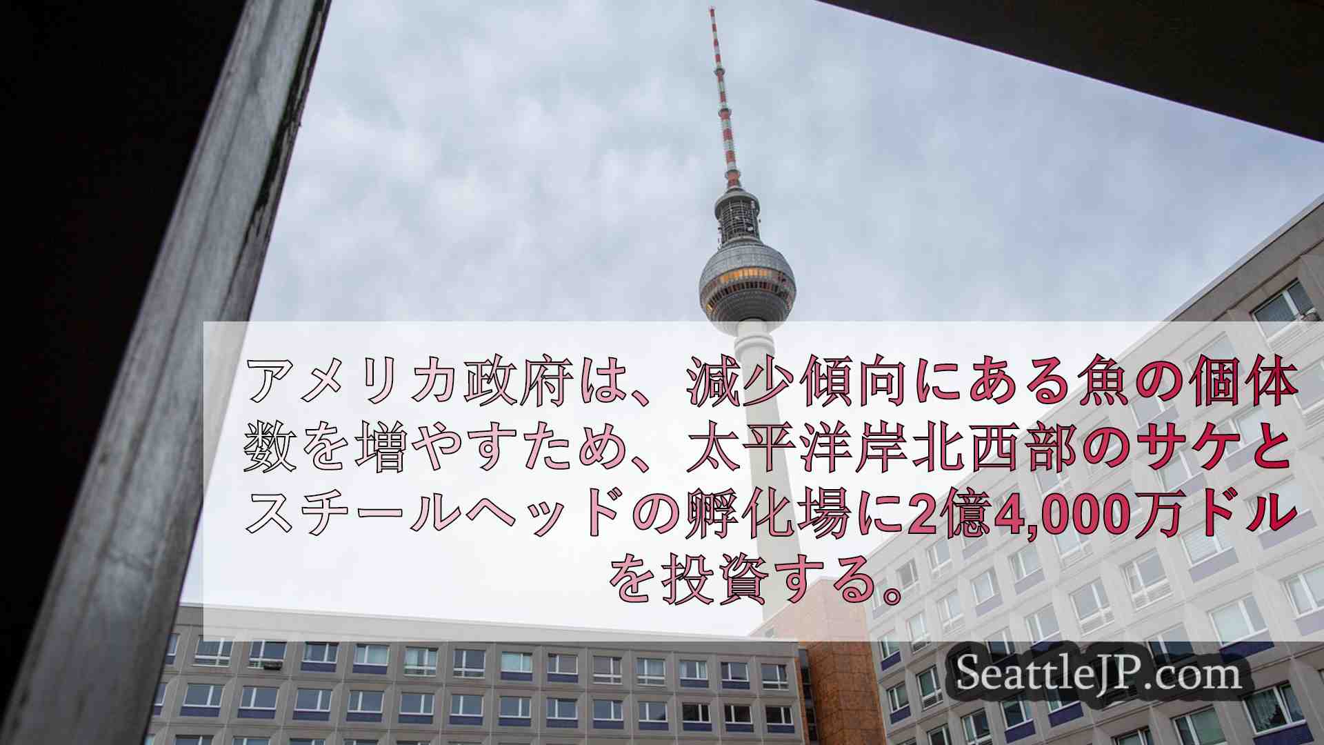 シアトルニュース SeattleJP