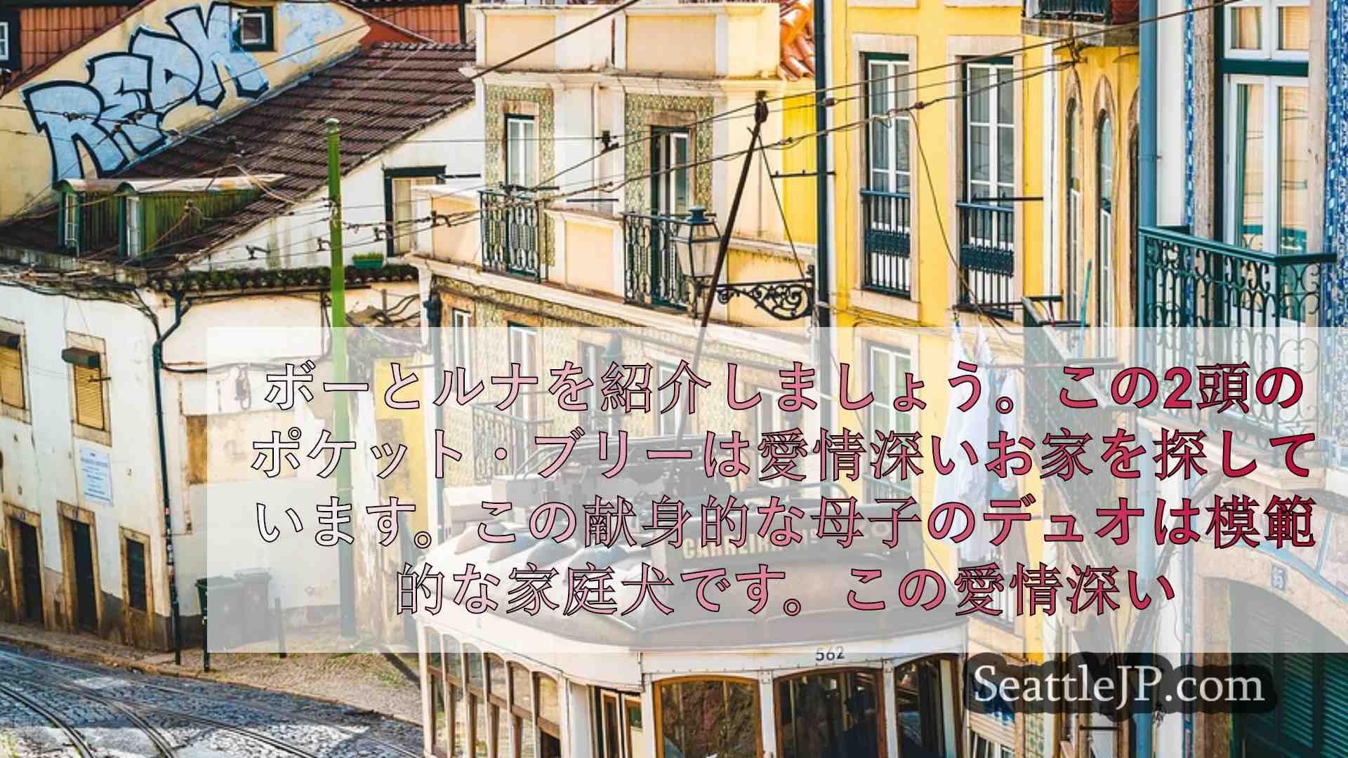シアトルニュース SeattleJP
