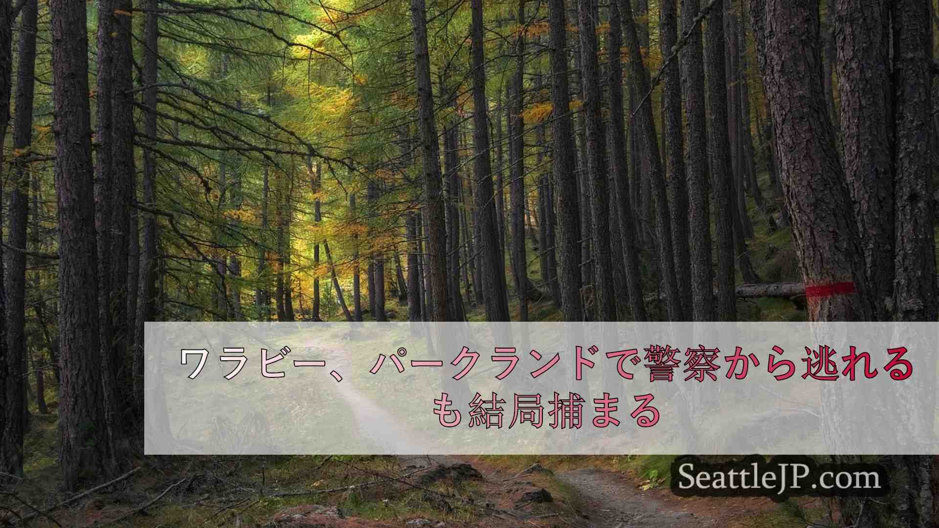 シアトルニュース SeattleJP