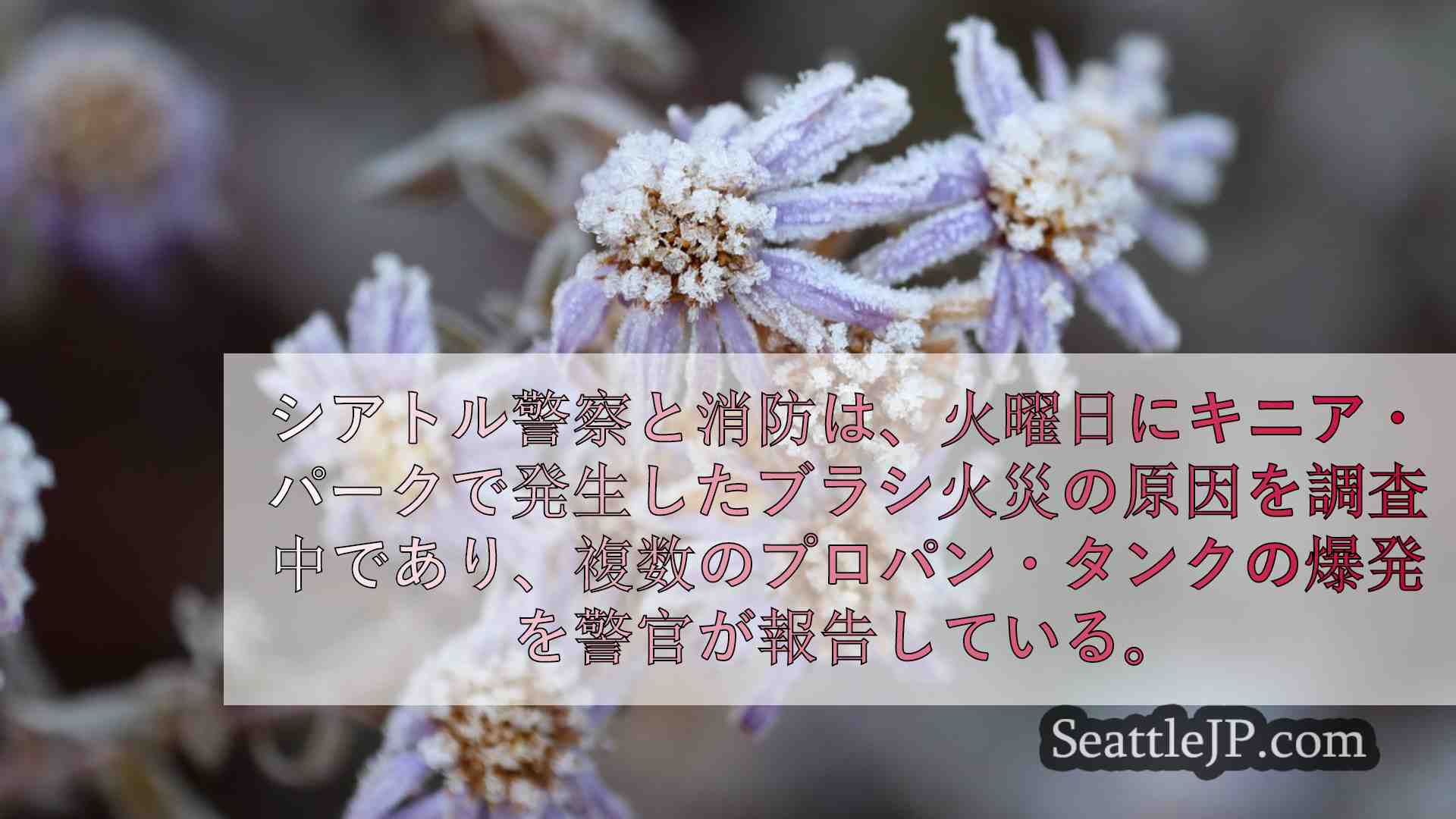 シアトルニュース SeattleJP