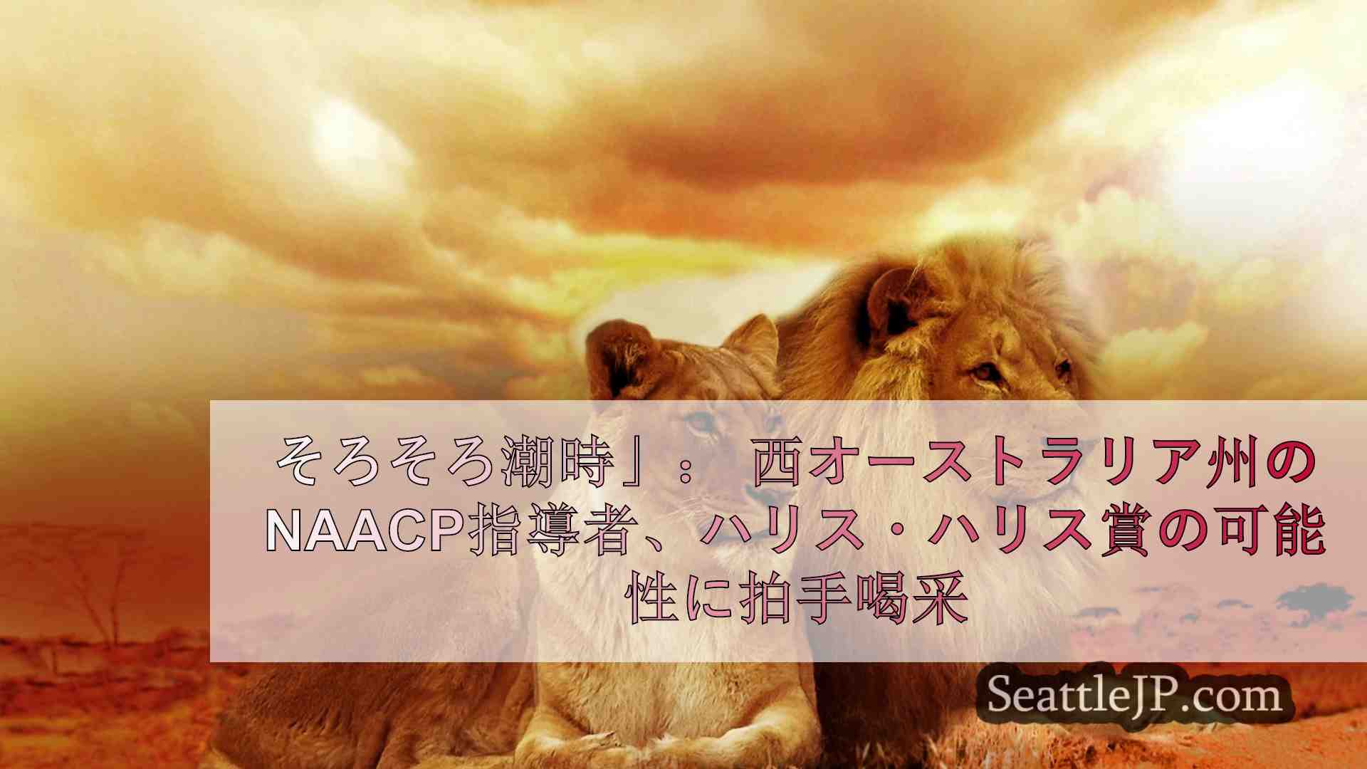 シアトルニュース SeattleJP