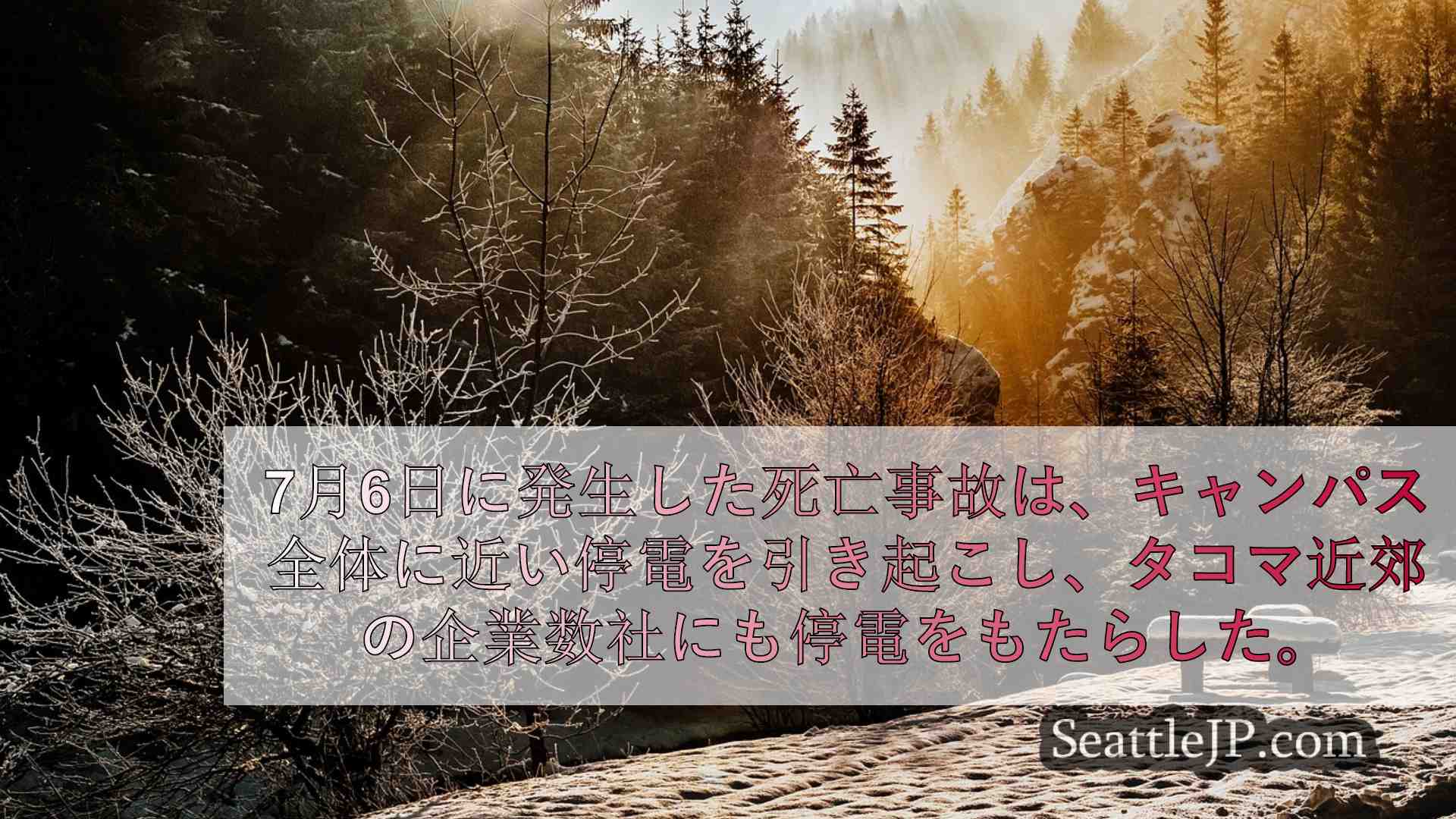 シアトルニュース SeattleJP