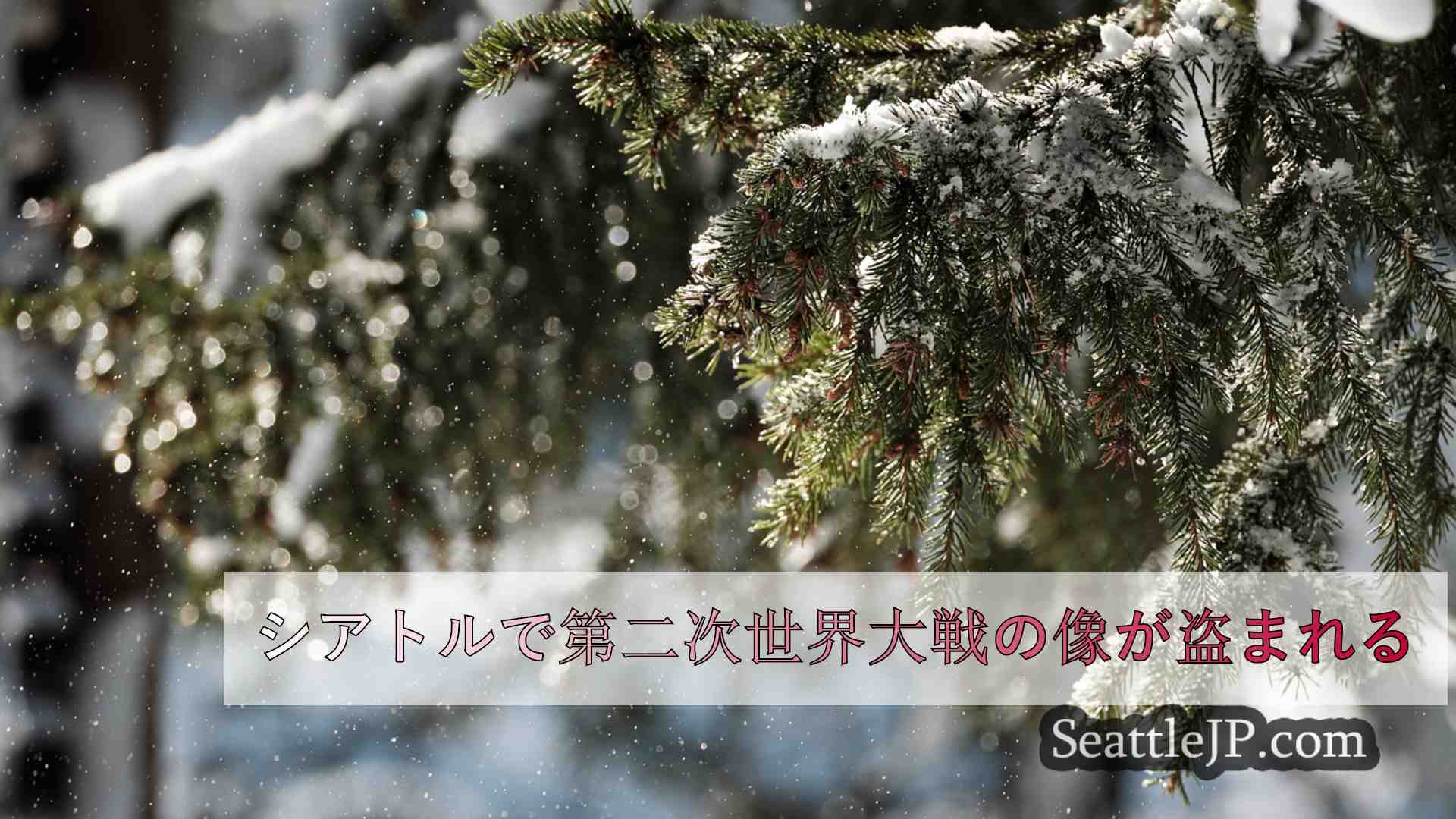 シアトルニュース SeattleJP
