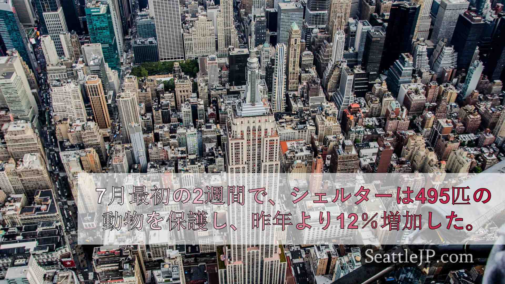 シアトルニュース SeattleJP