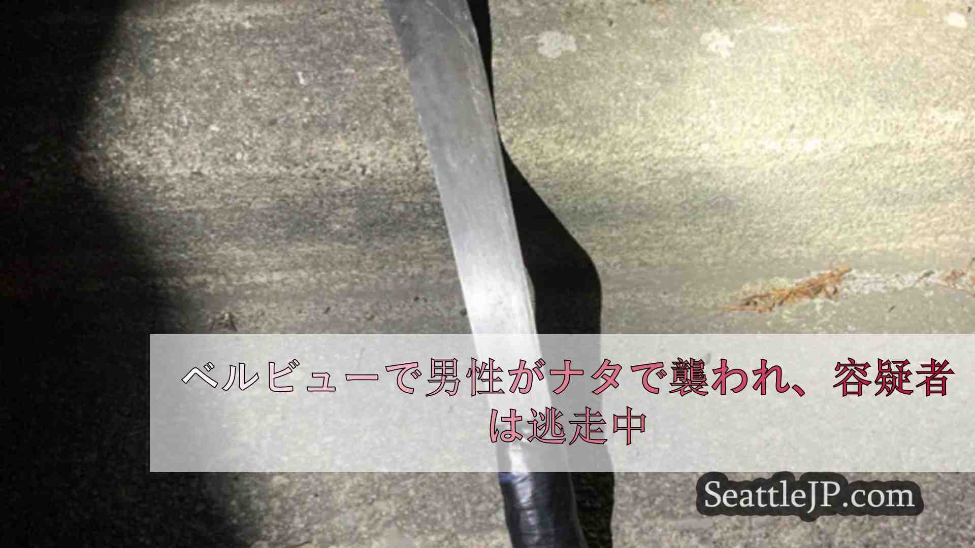 ベルビューで男性がナタで襲われ、容疑者は逃走中