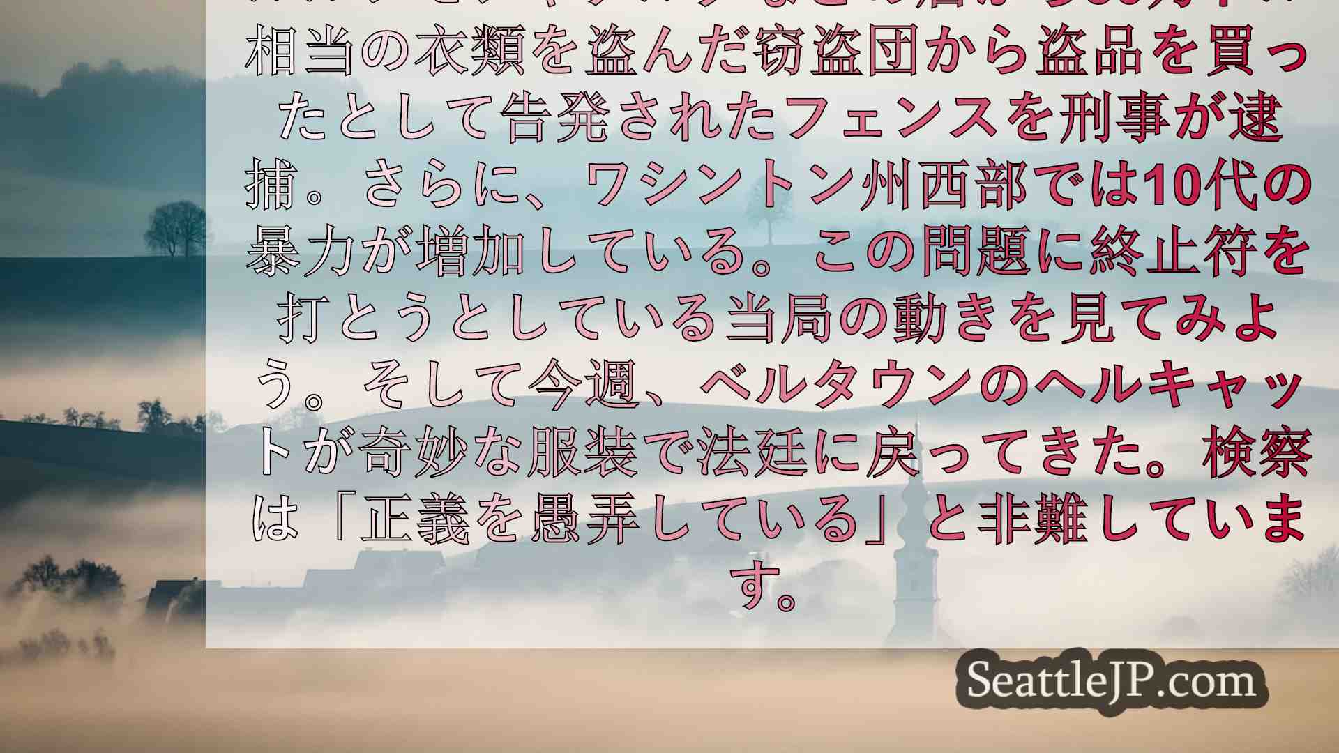 ルルレモン窃盗団：
