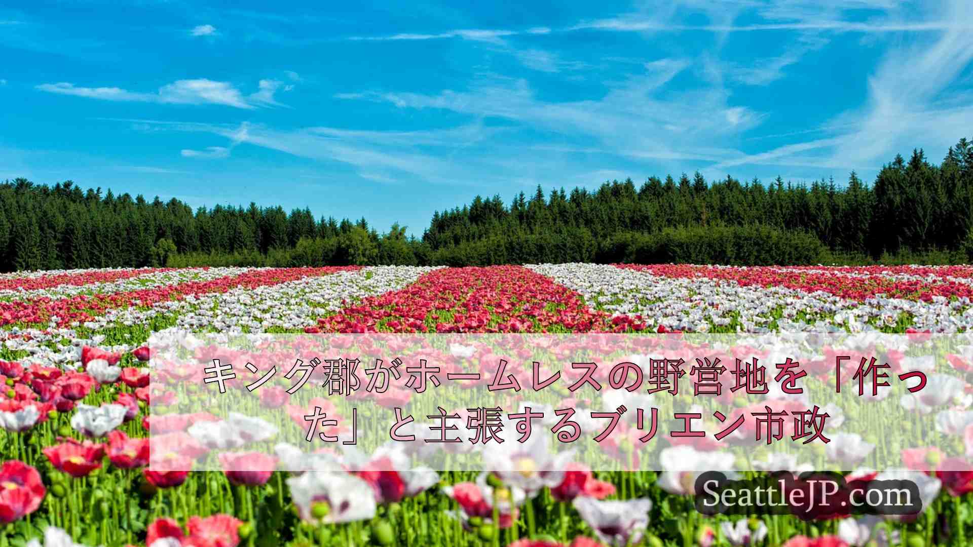 キング郡が市内にホームレスの野営地を「作った」とブリエン市長が主張