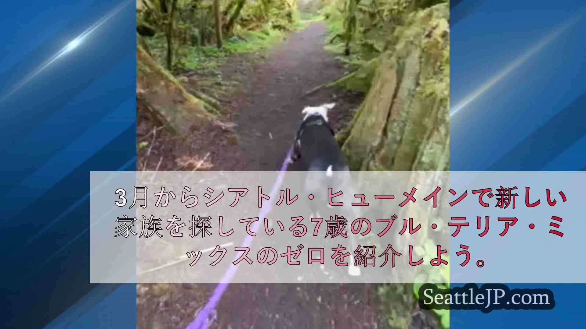 シアトルニュース SeattleJP