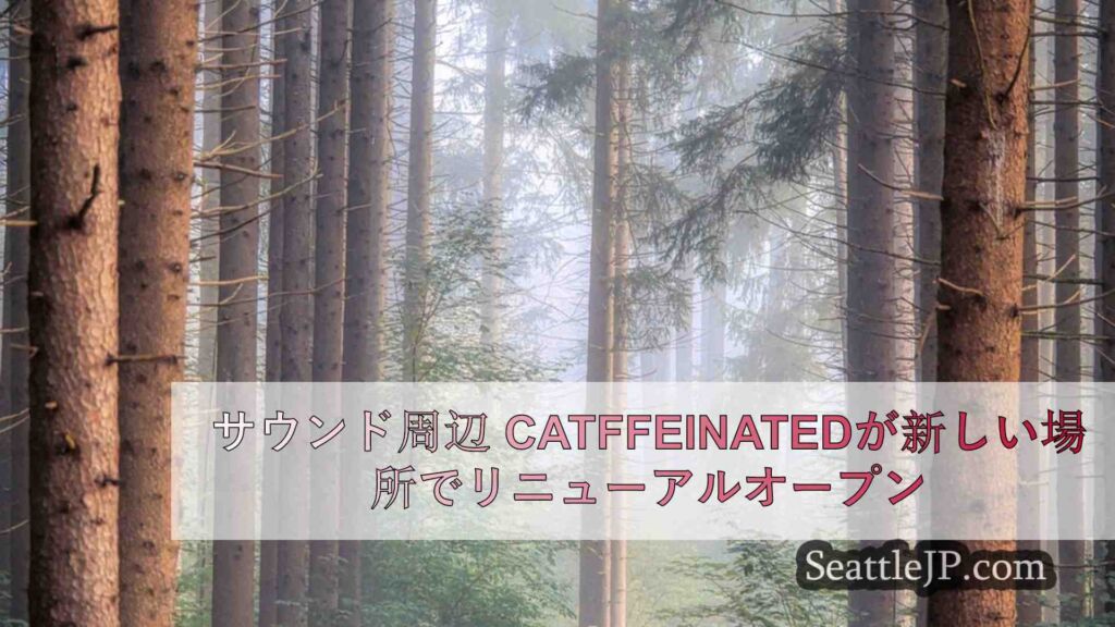 サウンド周辺 Catffeinatedが新しい場所でリニューアルオープン
