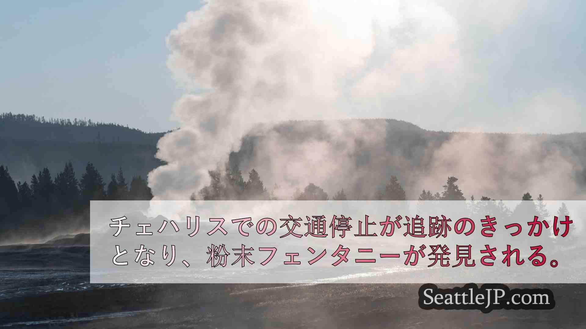 シアトルニュース SeattleJP