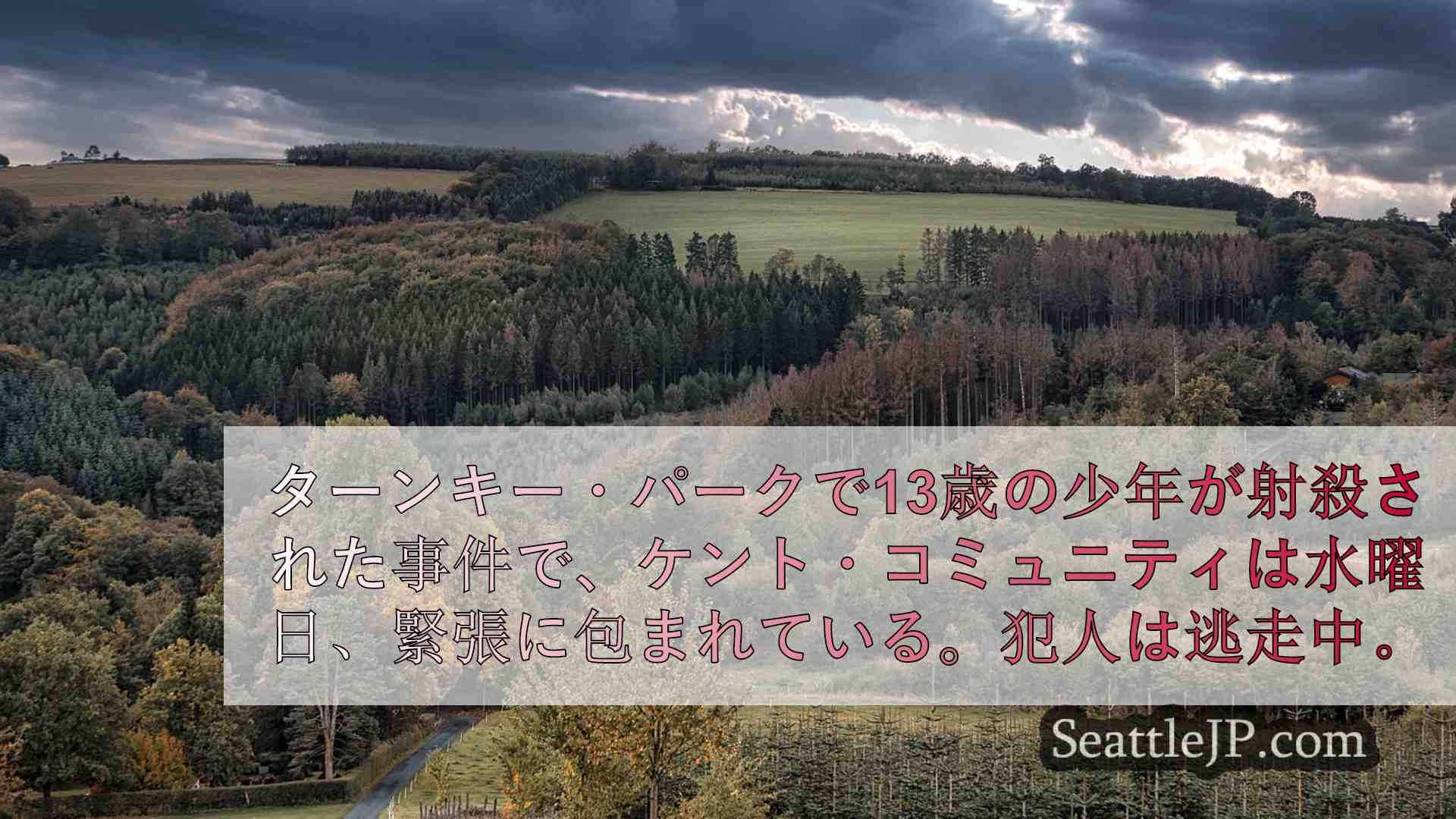 シアトルニュース SeattleJP