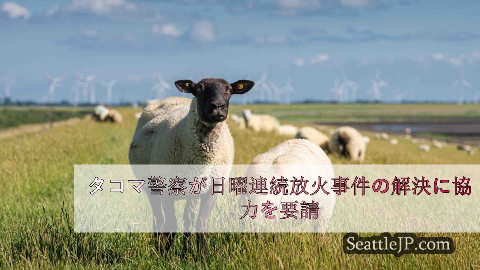 シアトルニュース SeattleJP