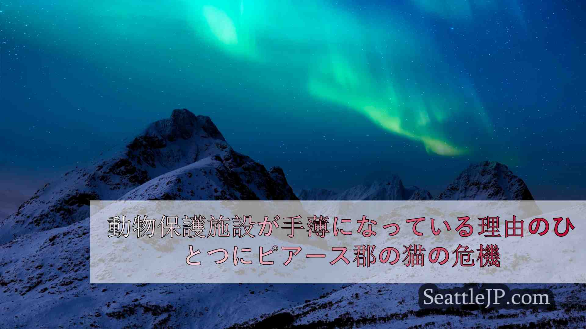 シアトルニュース SeattleJP