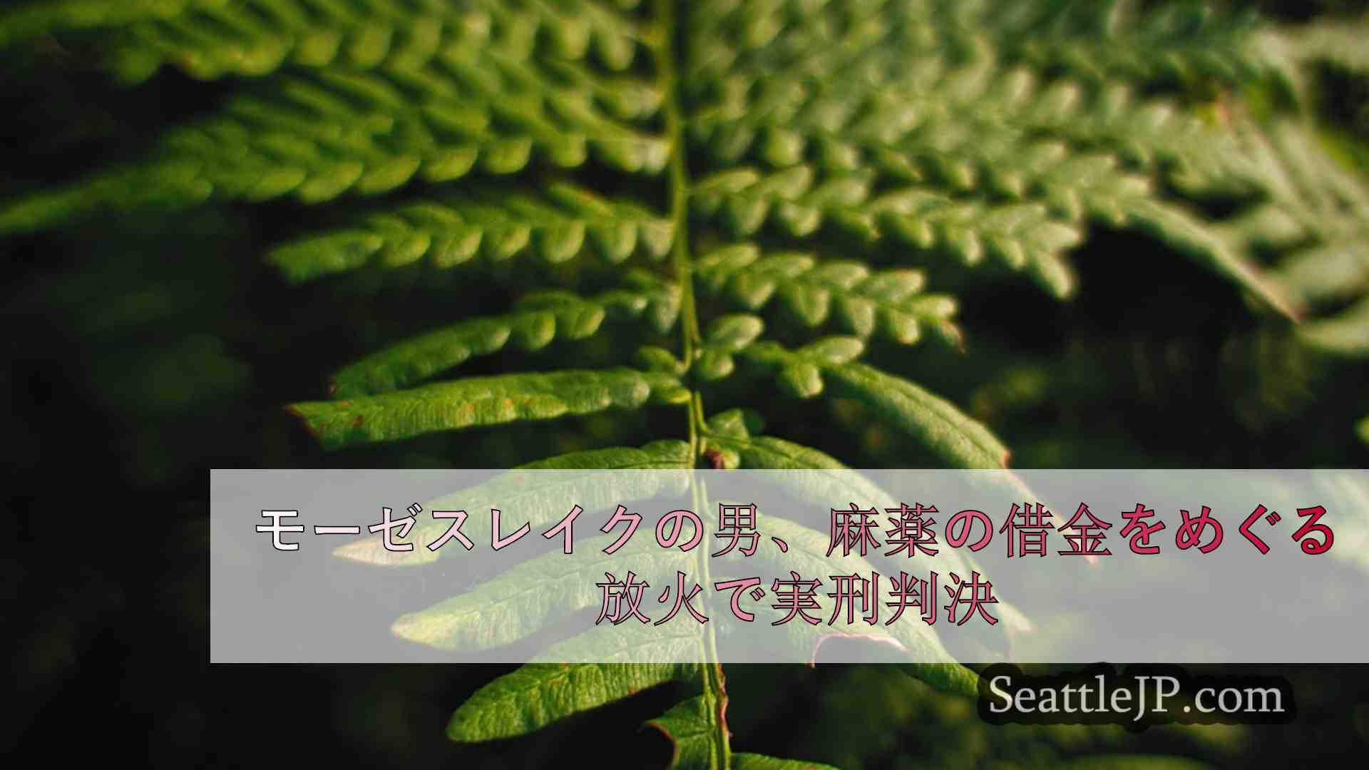 シアトルニュース SeattleJP